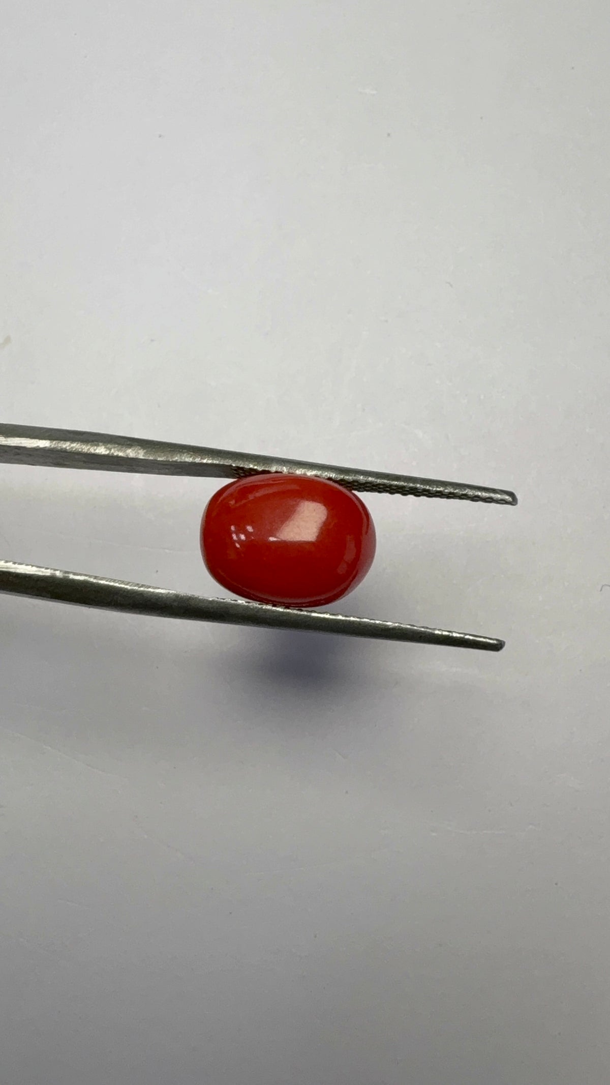 Red Coral 4.65 carat COR-164 close view