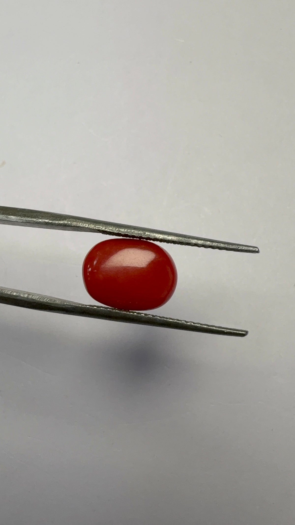 Red Coral 4.65 carat COR-164 angled view