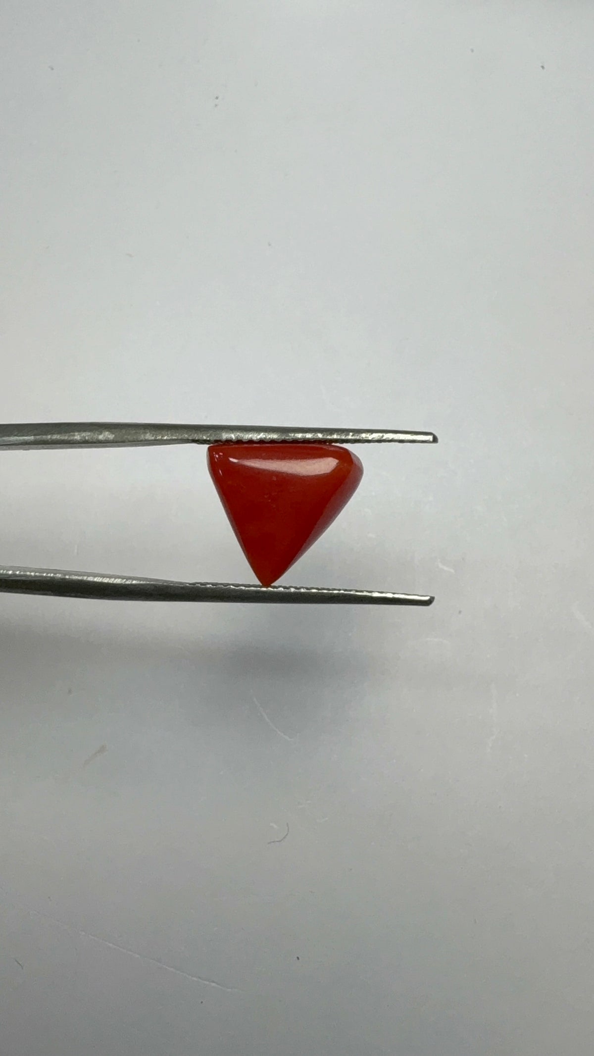 Red Coral 4.35 carat COR-166 close view