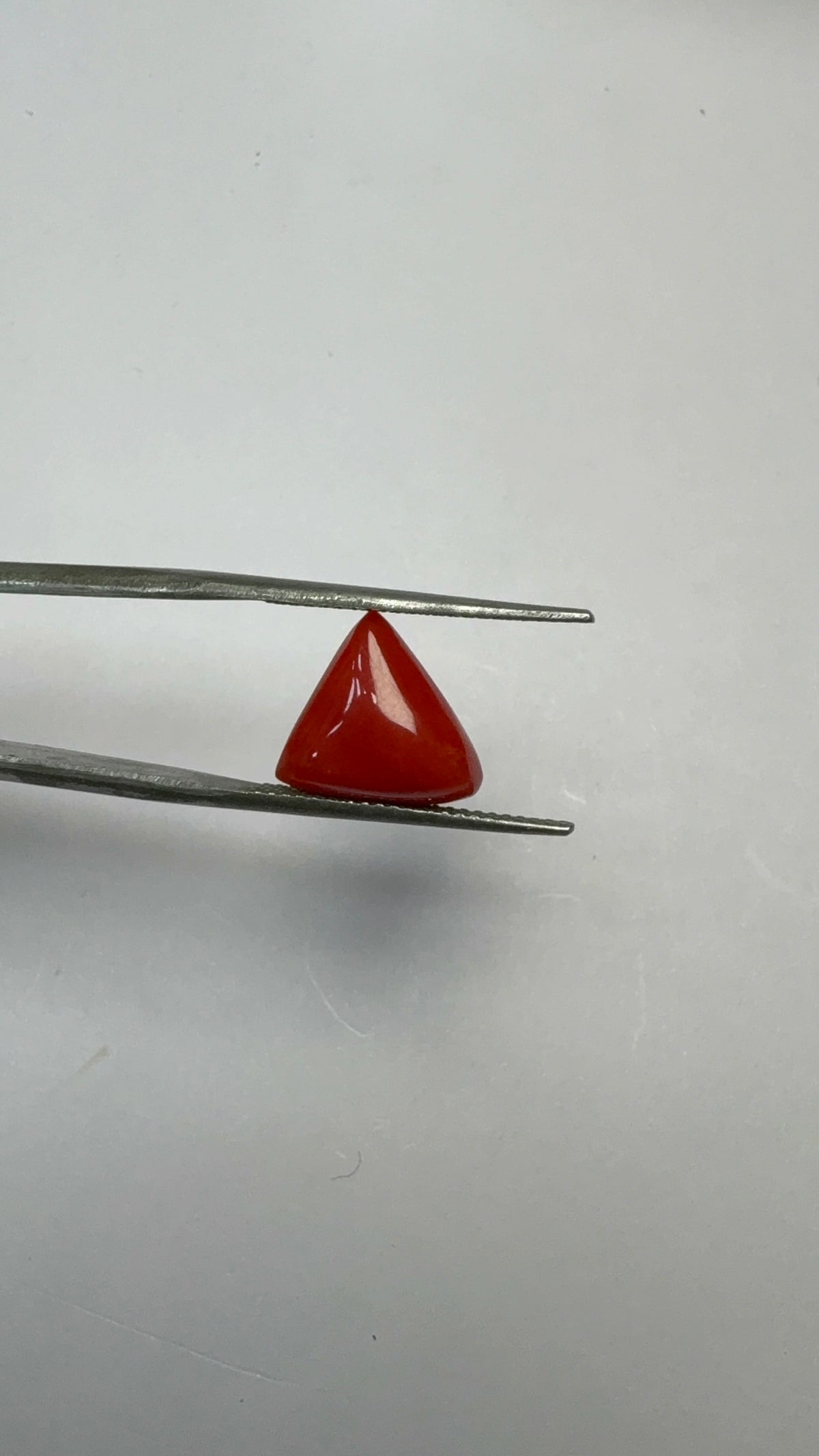 Red Coral 4.35 carat COR-166 angled view