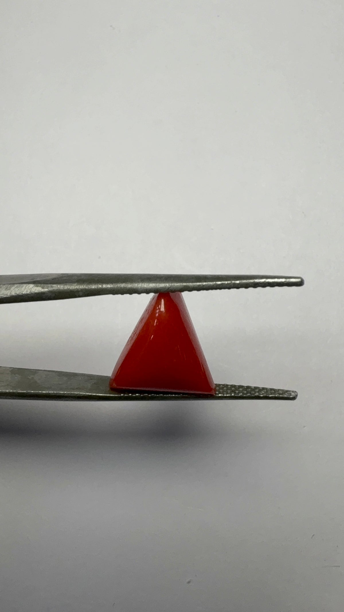 Red Coral 4.71 carat COR-167 close view