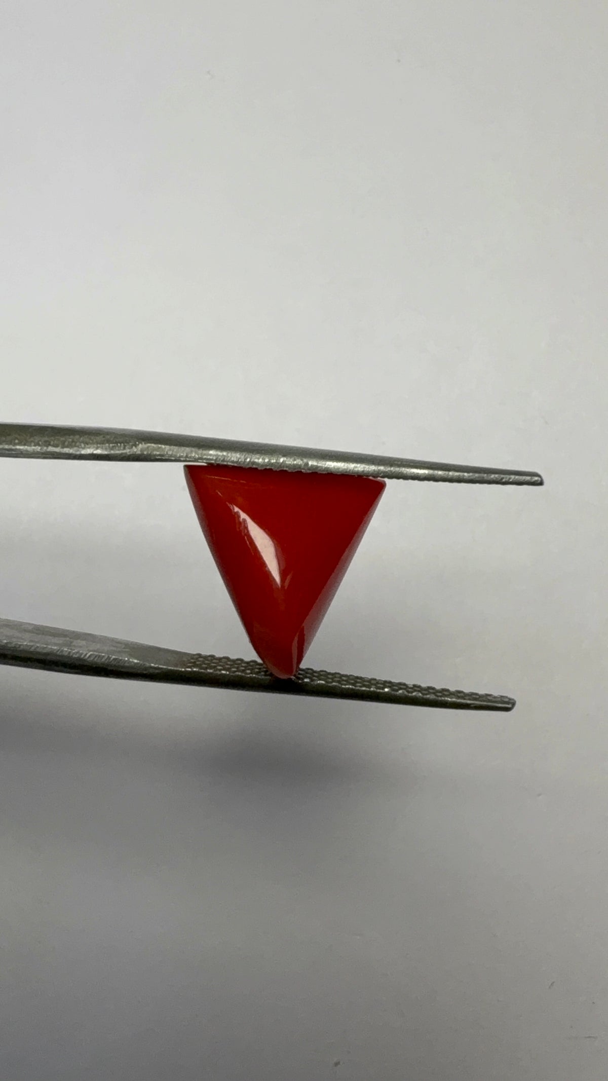 Red Coral 4.71 carat COR-167 angled view