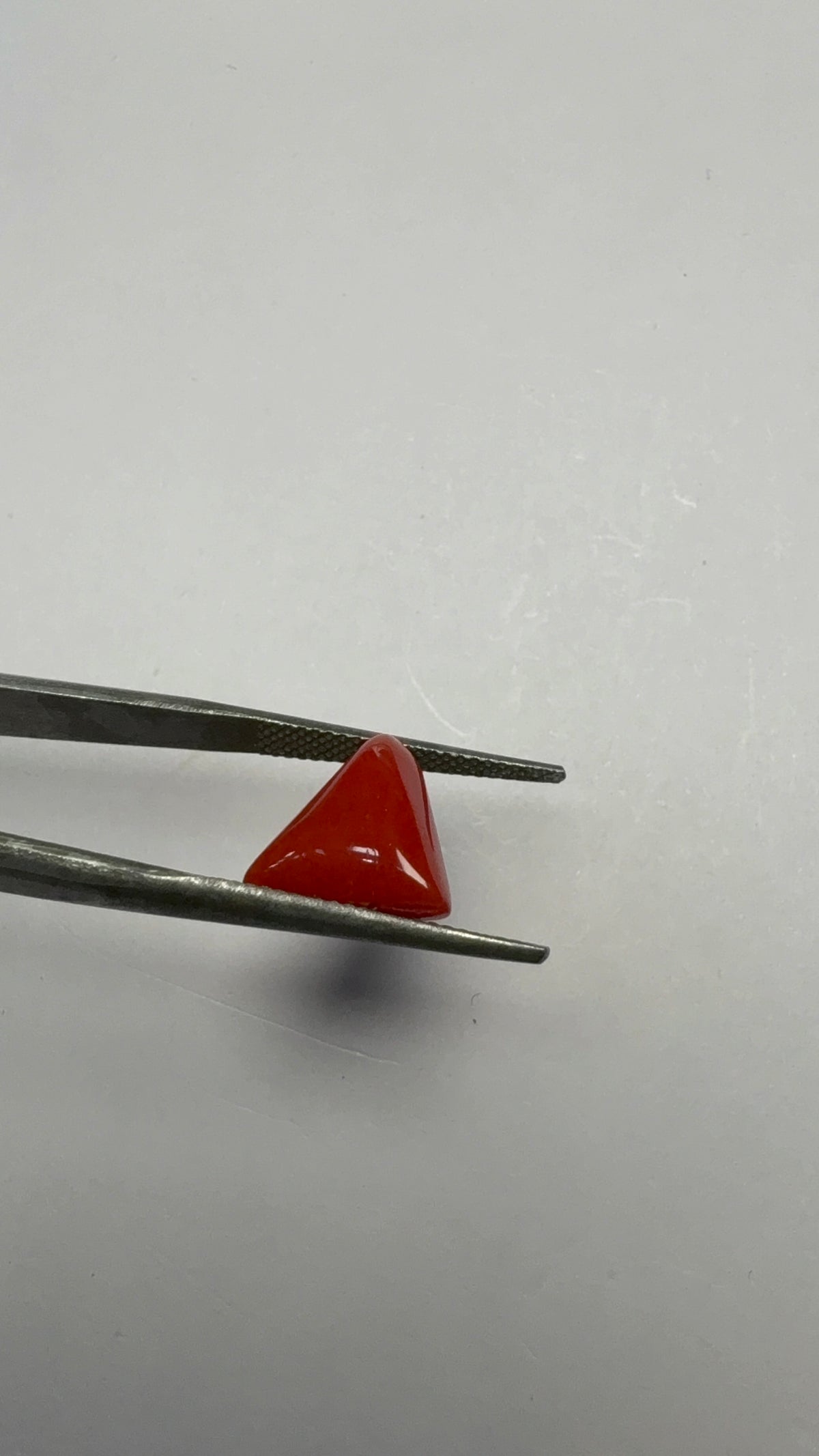 Red Coral 4.29 carat COR-169 angled view