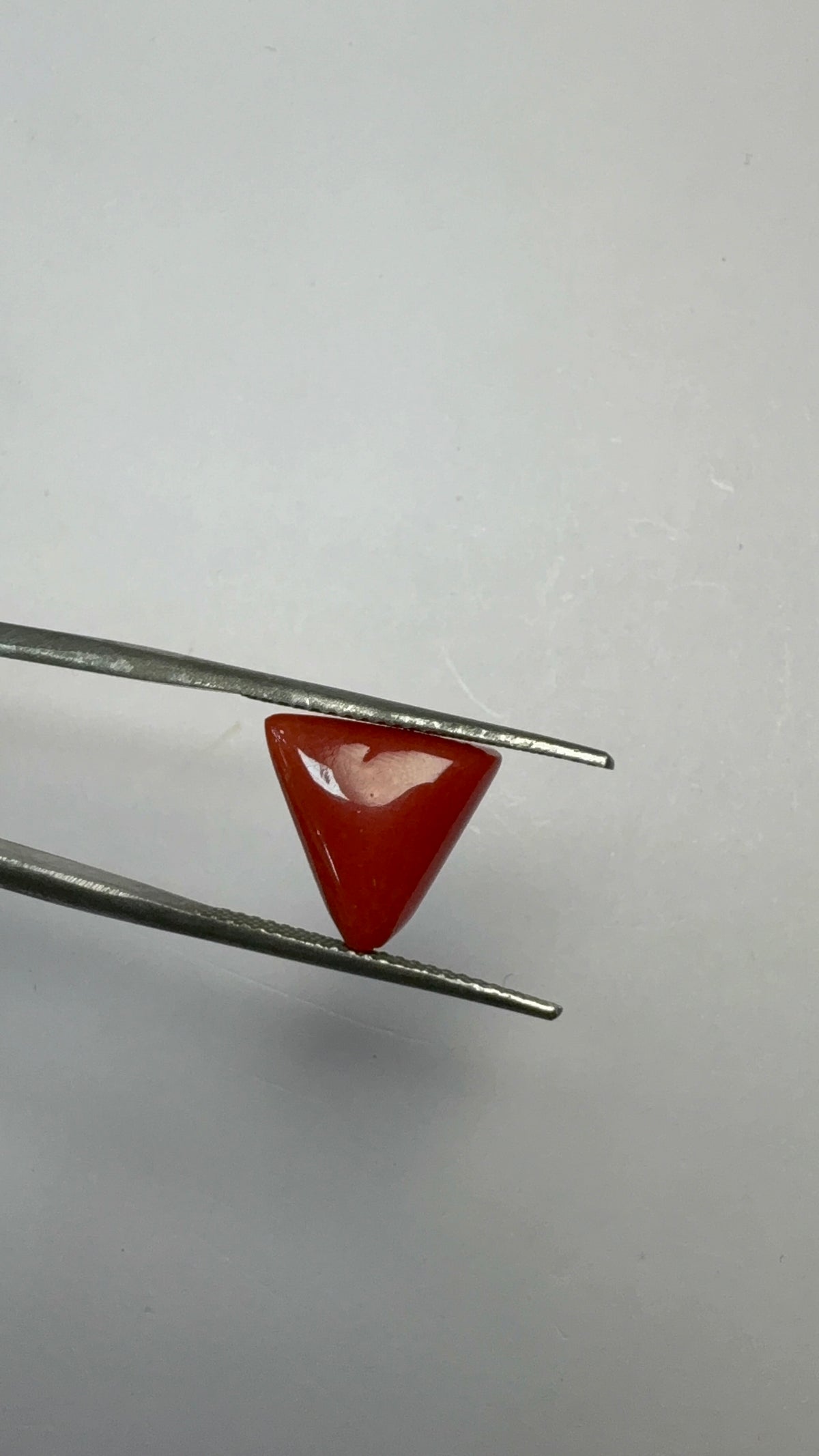 Red Coral 4.29 carat COR-169 reverse view
