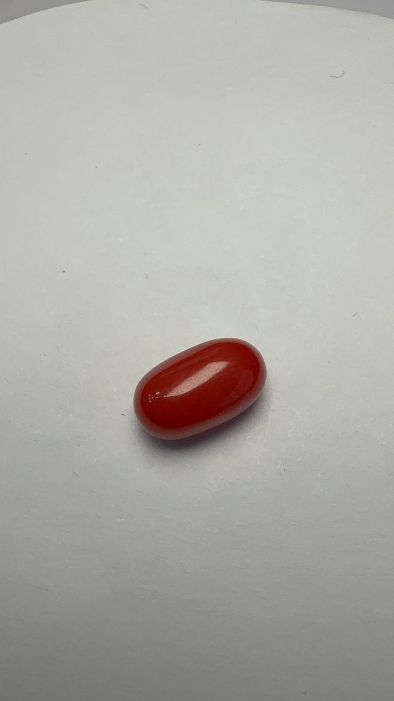 Red Coral – 3.77 Carat – Italy – Oval