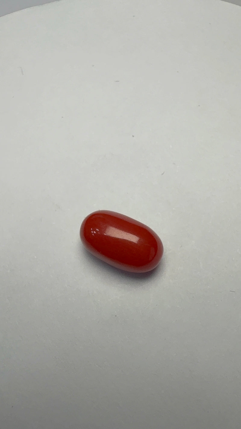 Red Coral – 3.77 Carat – Italy – Oval