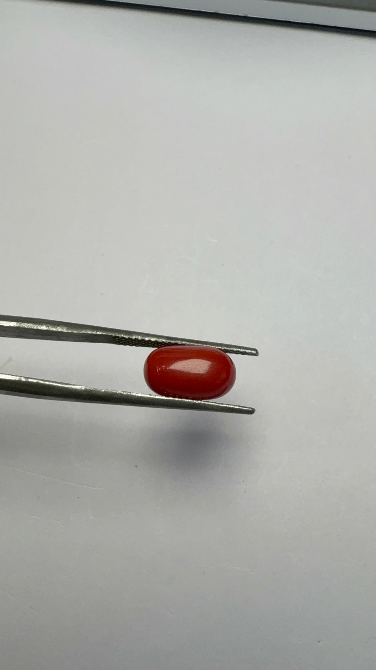 Red Coral 3.77 carat COR-171 close view