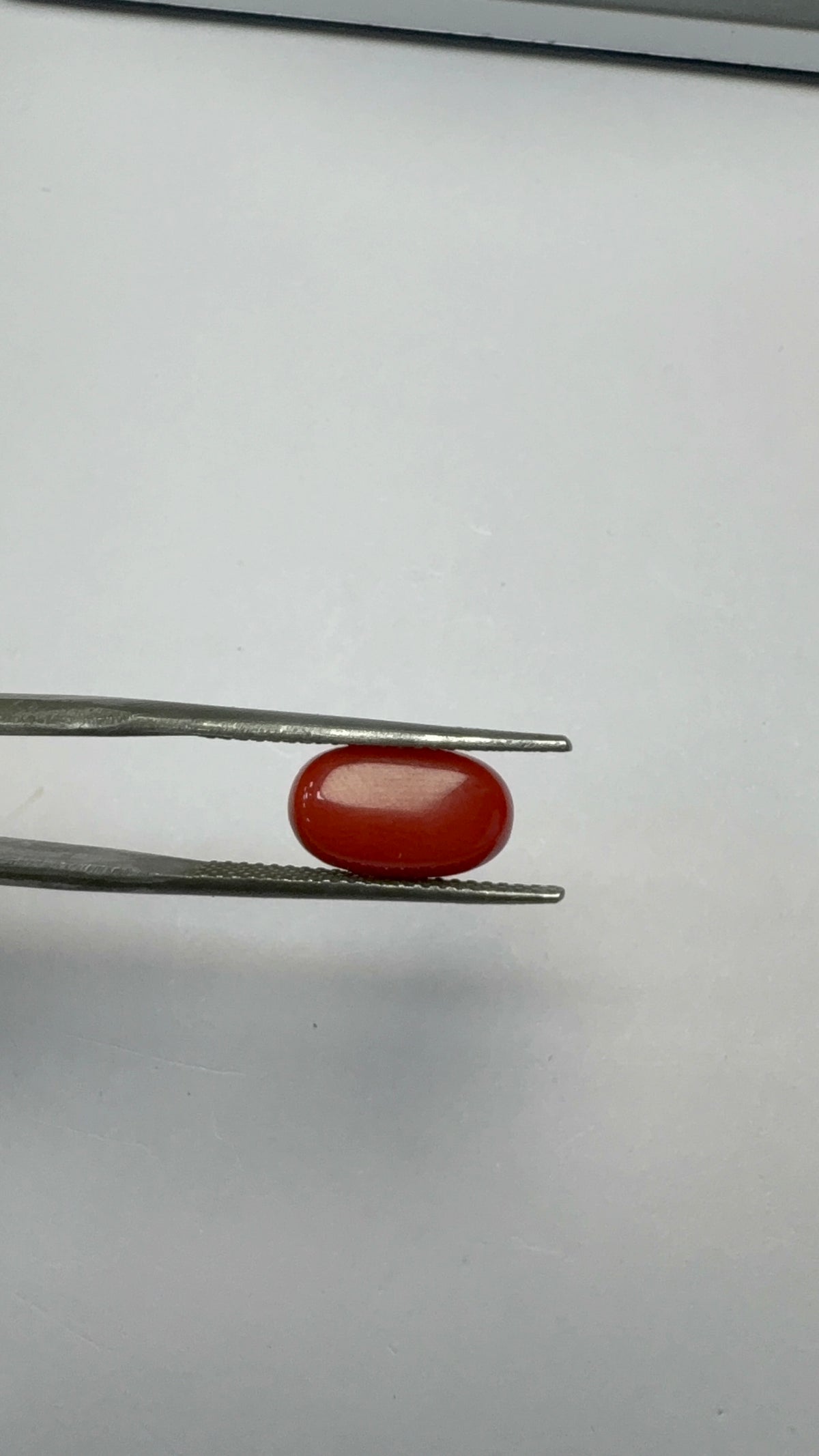 Red Coral 3.77 carat COR-171 angled view