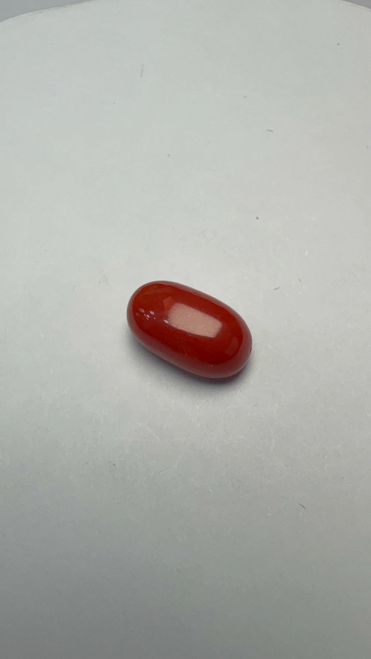 Red Coral 3.25 carat COR-172 front view