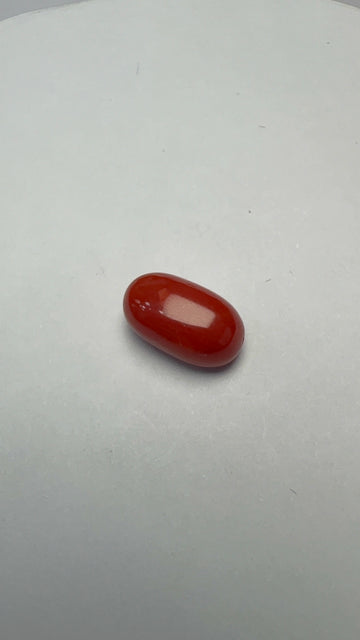 Red Coral 3.25 carat COR-172 front view