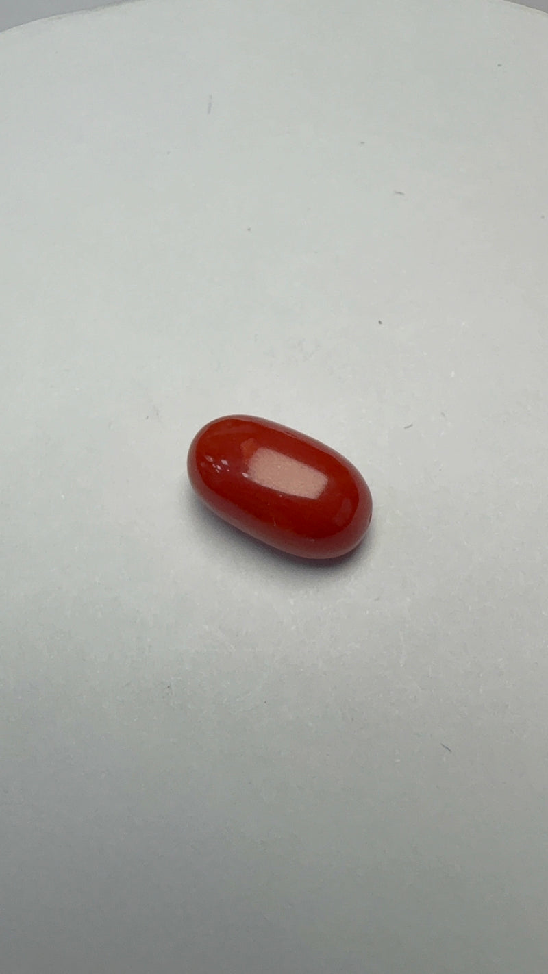Red Coral – 3.25 Carat – Italy – Oval