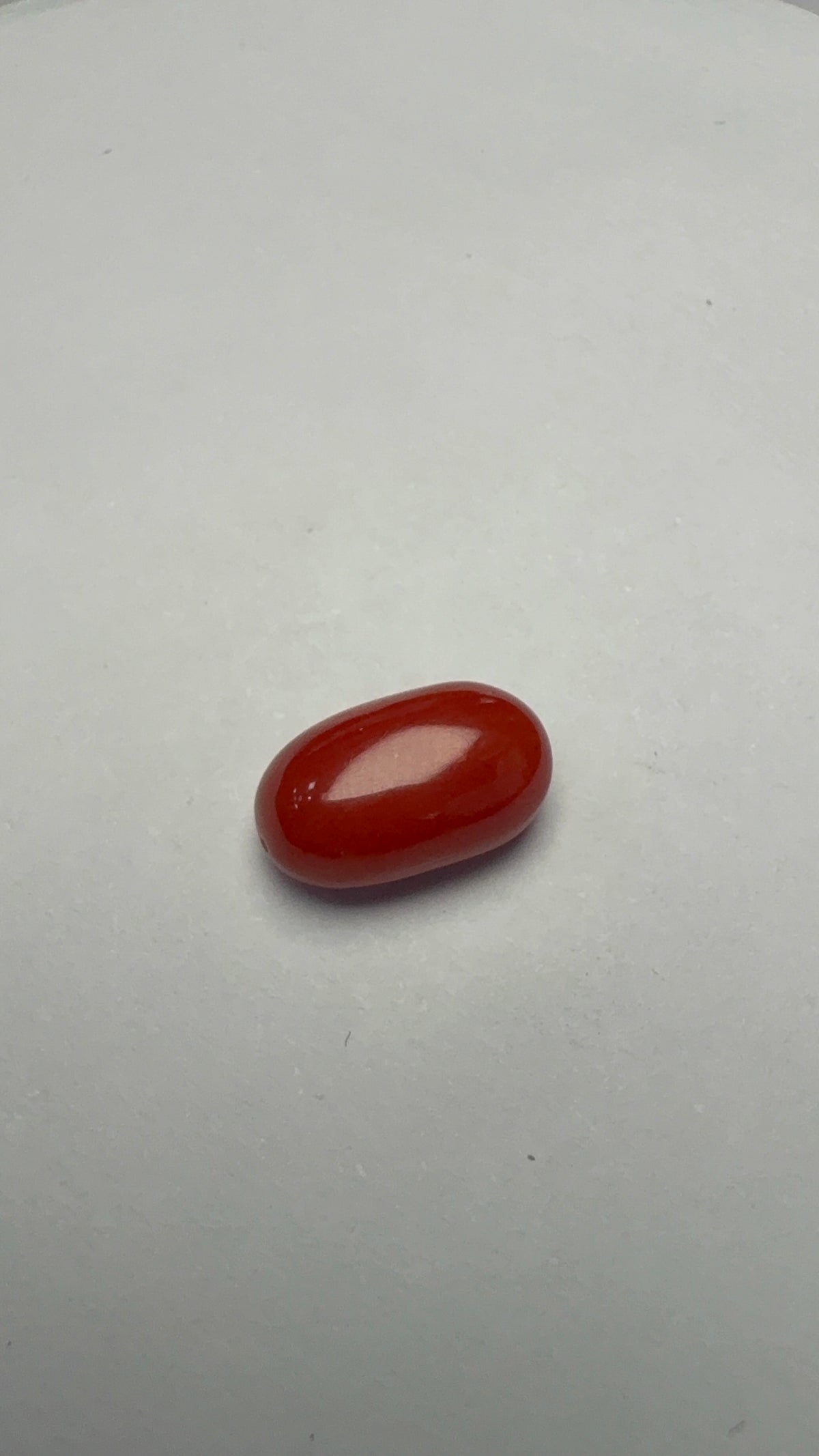 Red Coral 3.25 carat COR-172 face-up view
