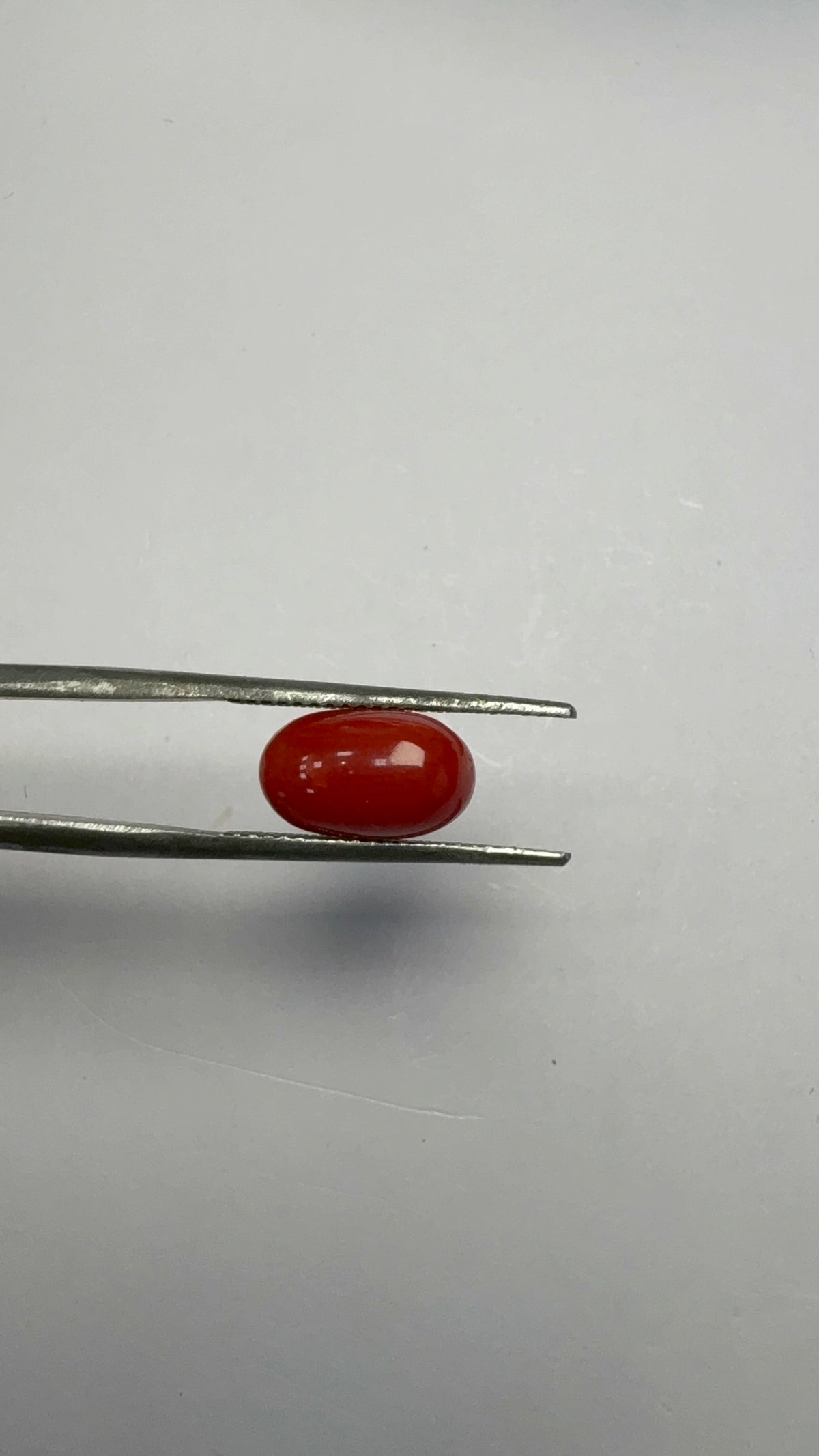 Red Coral 3.25 carat COR-172 close view