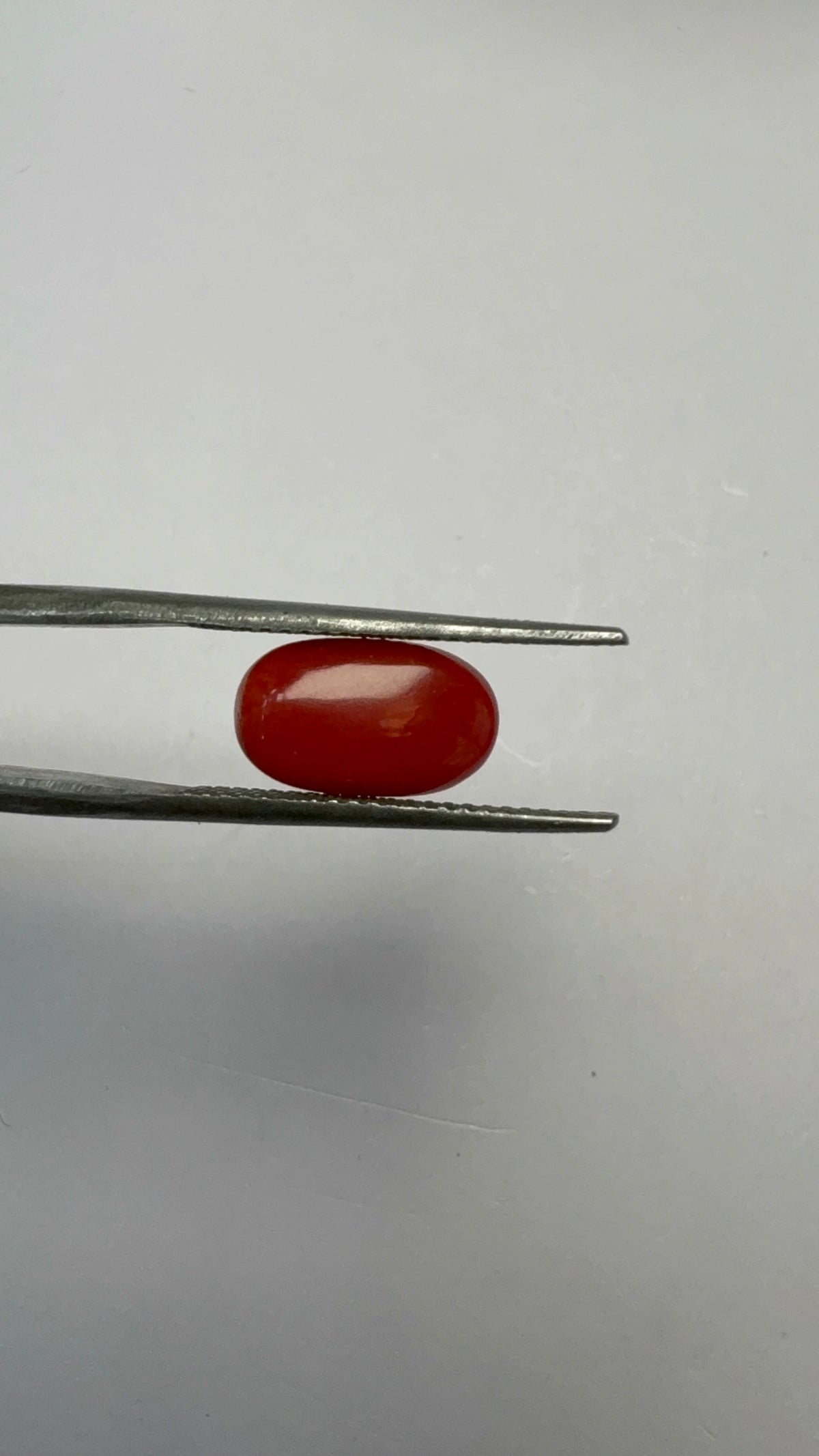Red Coral 3.25 carat COR-172 angled view