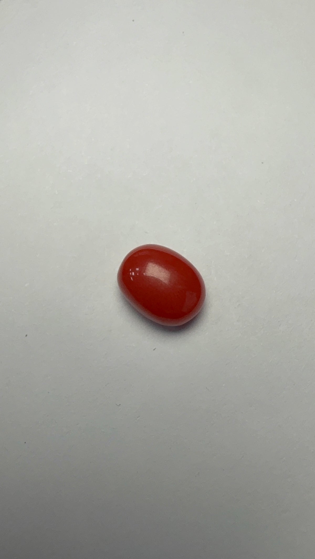 Red Coral 3.60 carat COR-173 front view