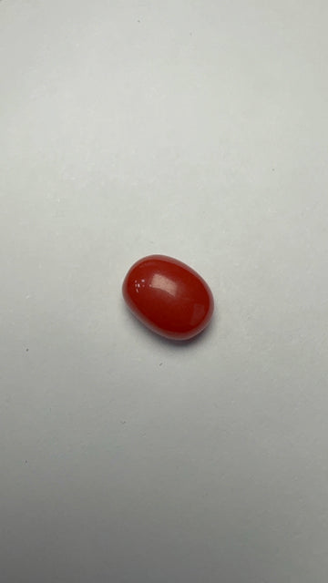 Red Coral 3.60 carat COR-173 front view