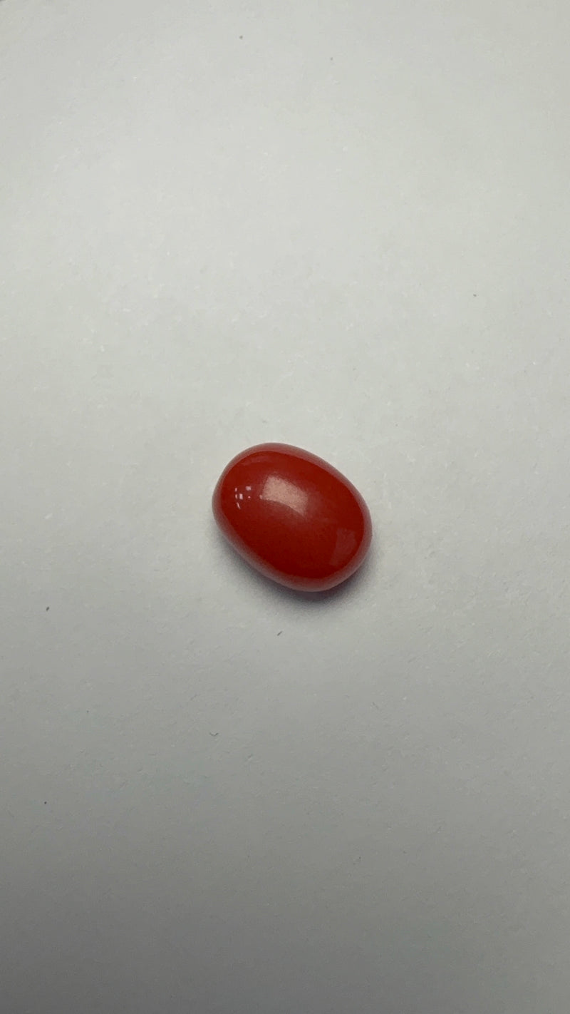 Red Coral – 3.60 Carat – Italy – Oval