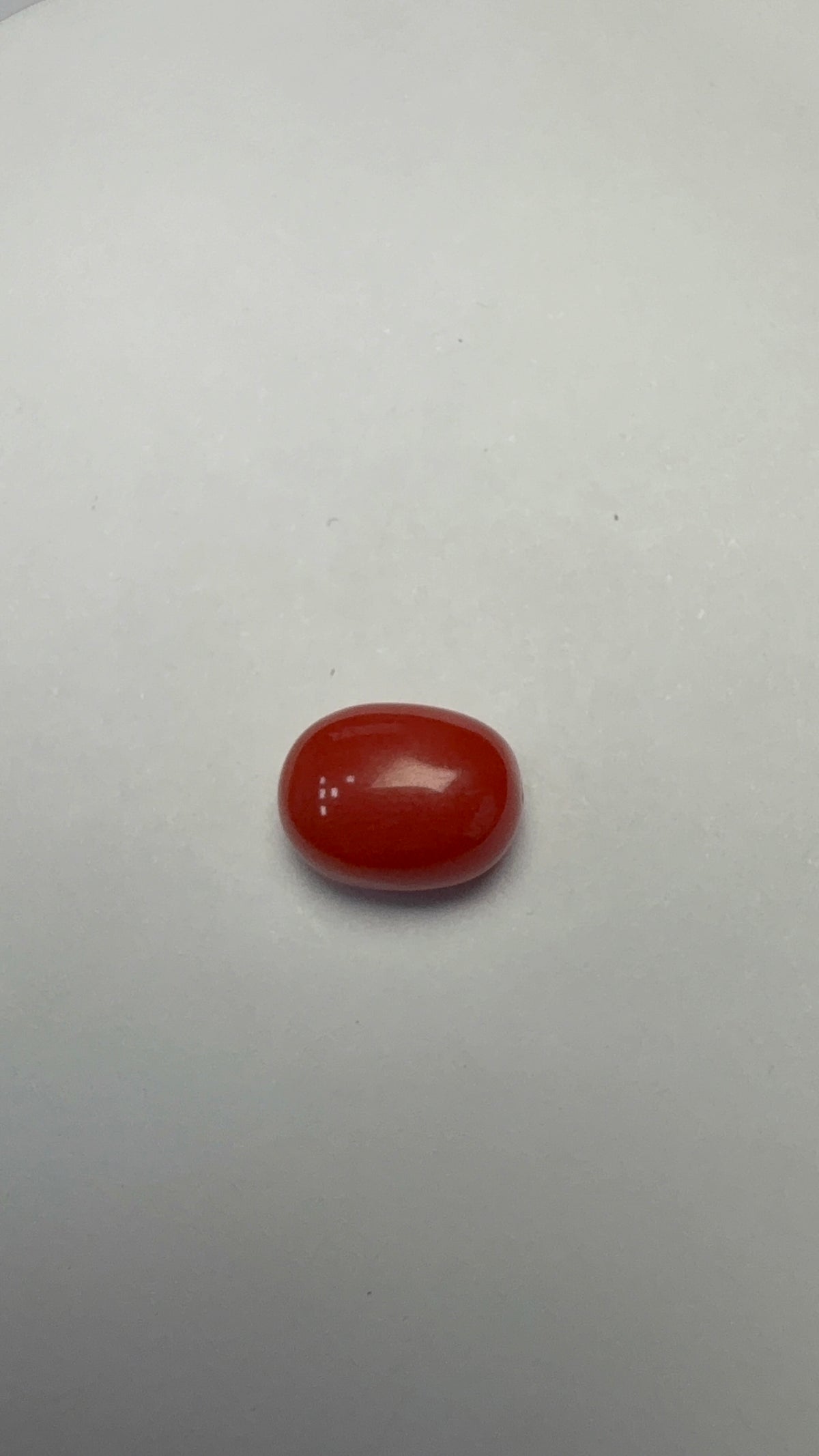 Red Coral 3.60 carat COR-173 face-up view