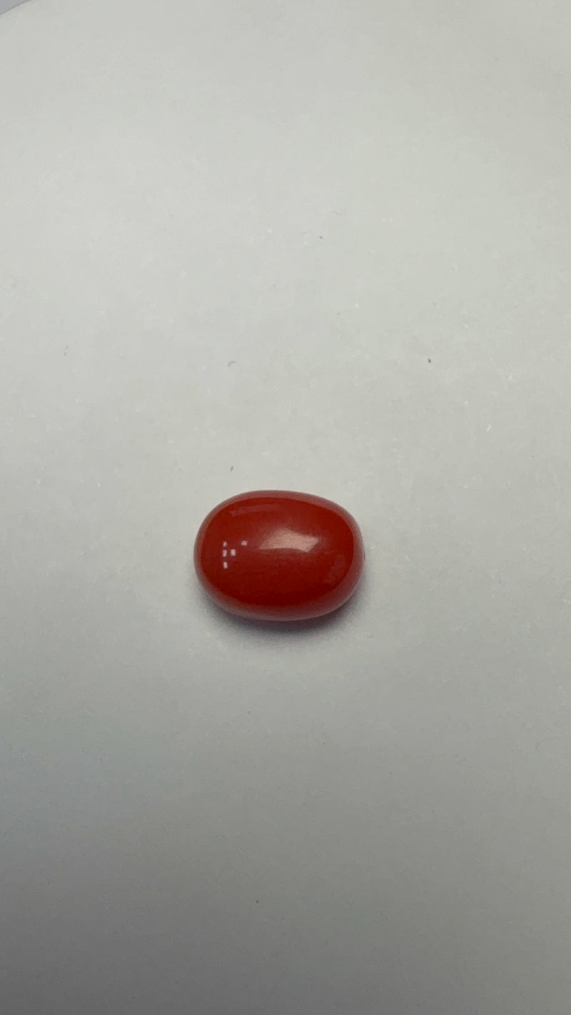 Red Coral – 3.60 Carat – Italy – Oval