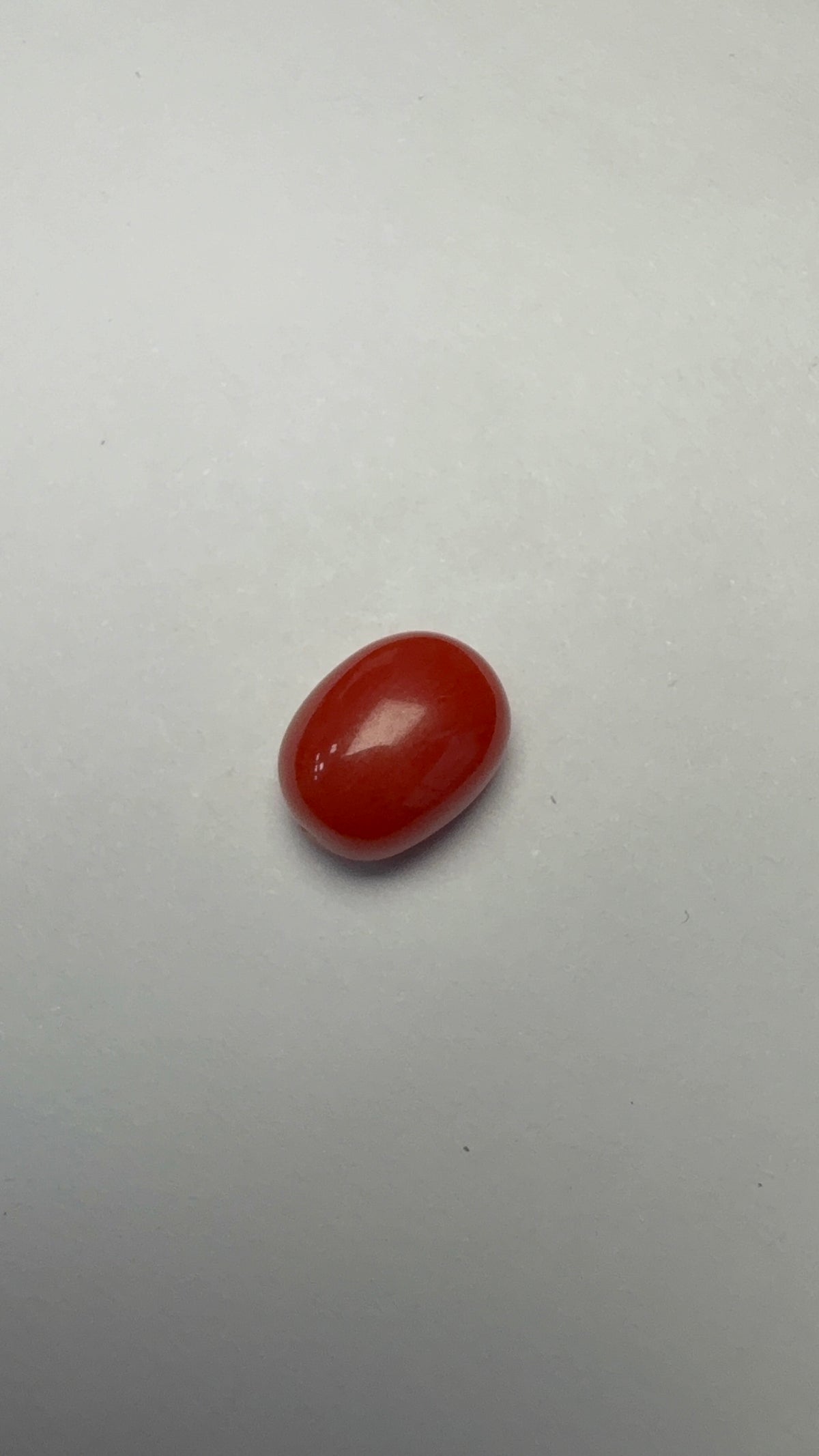 Red Coral 3.60 carat COR-173 alternate face-up view