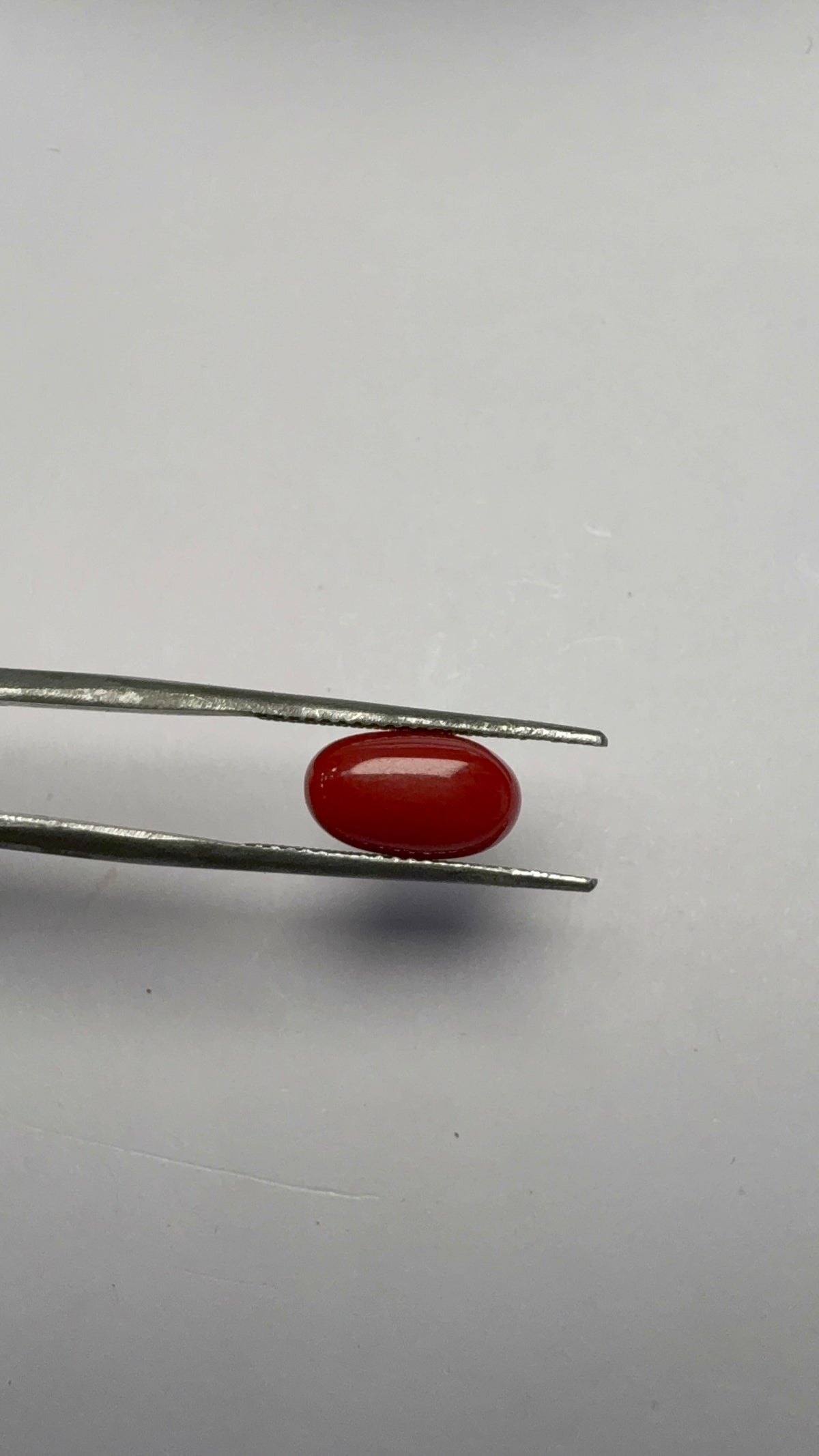 Red Coral 3.15 carat COR-175 angled view
