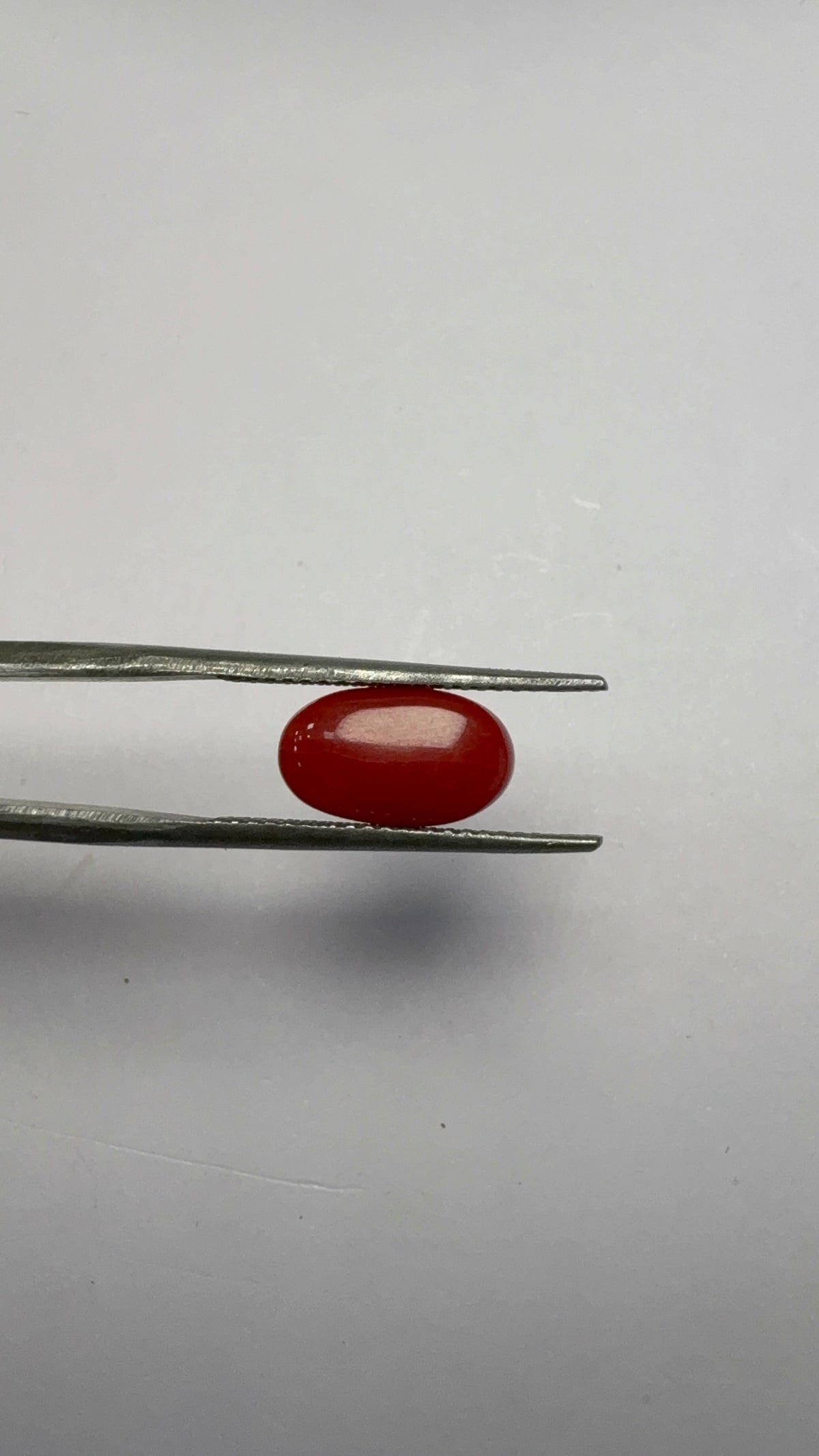 Red Coral 3.15 carat COR-175 reverse view