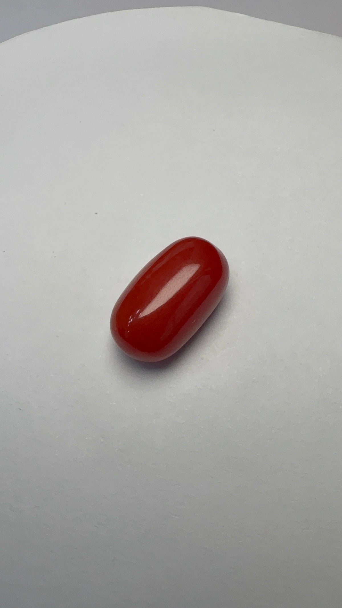 Red Coral 8.20 carat COR-177 front view