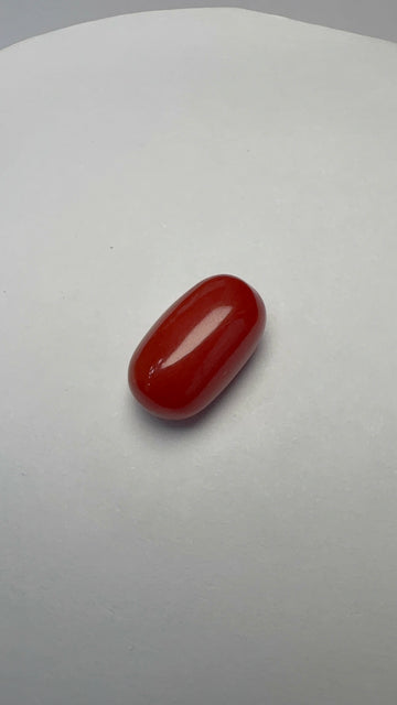 Red Coral 8.20 carat COR-177 front view
