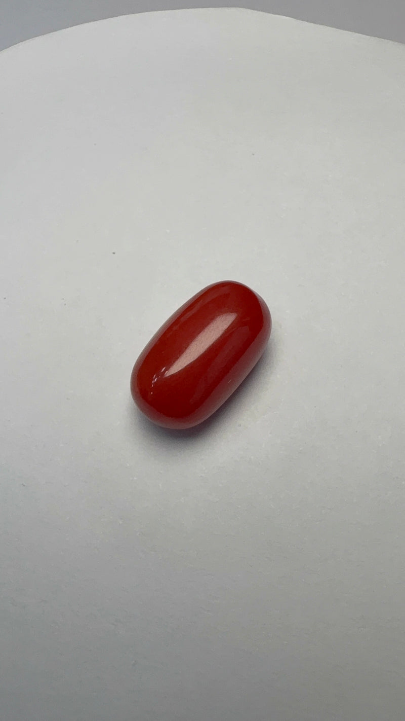 Red Coral – 8.20 Carat – Italy – Oval