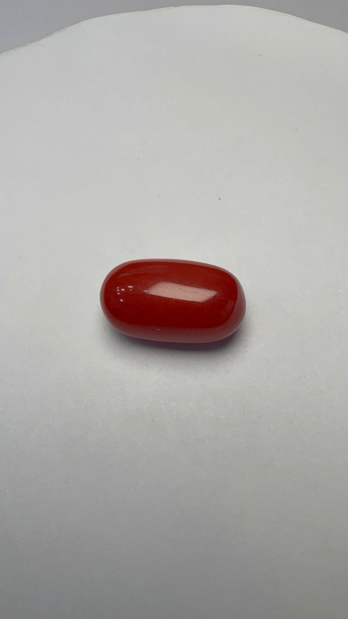 Red Coral 8.20 carat COR-177 face-up view