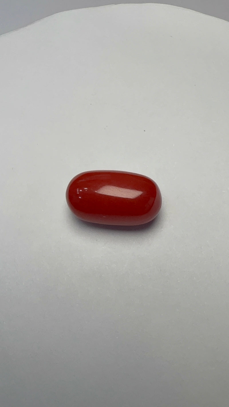 Red Coral – 8.20 Carat – Italy – Oval