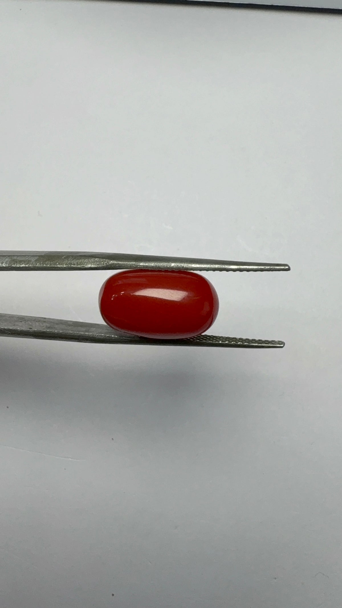 Red Coral 8.20 carat COR-177 close view