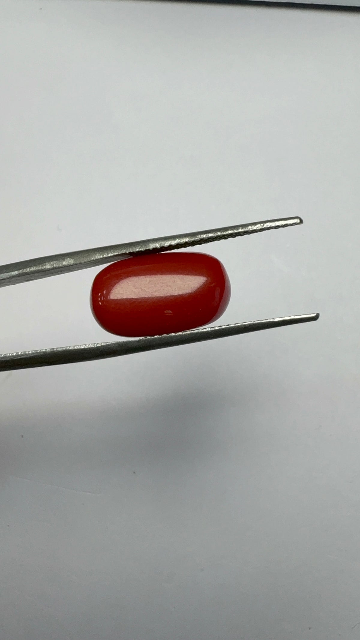 Red Coral 8.20 carat COR-177 angled view