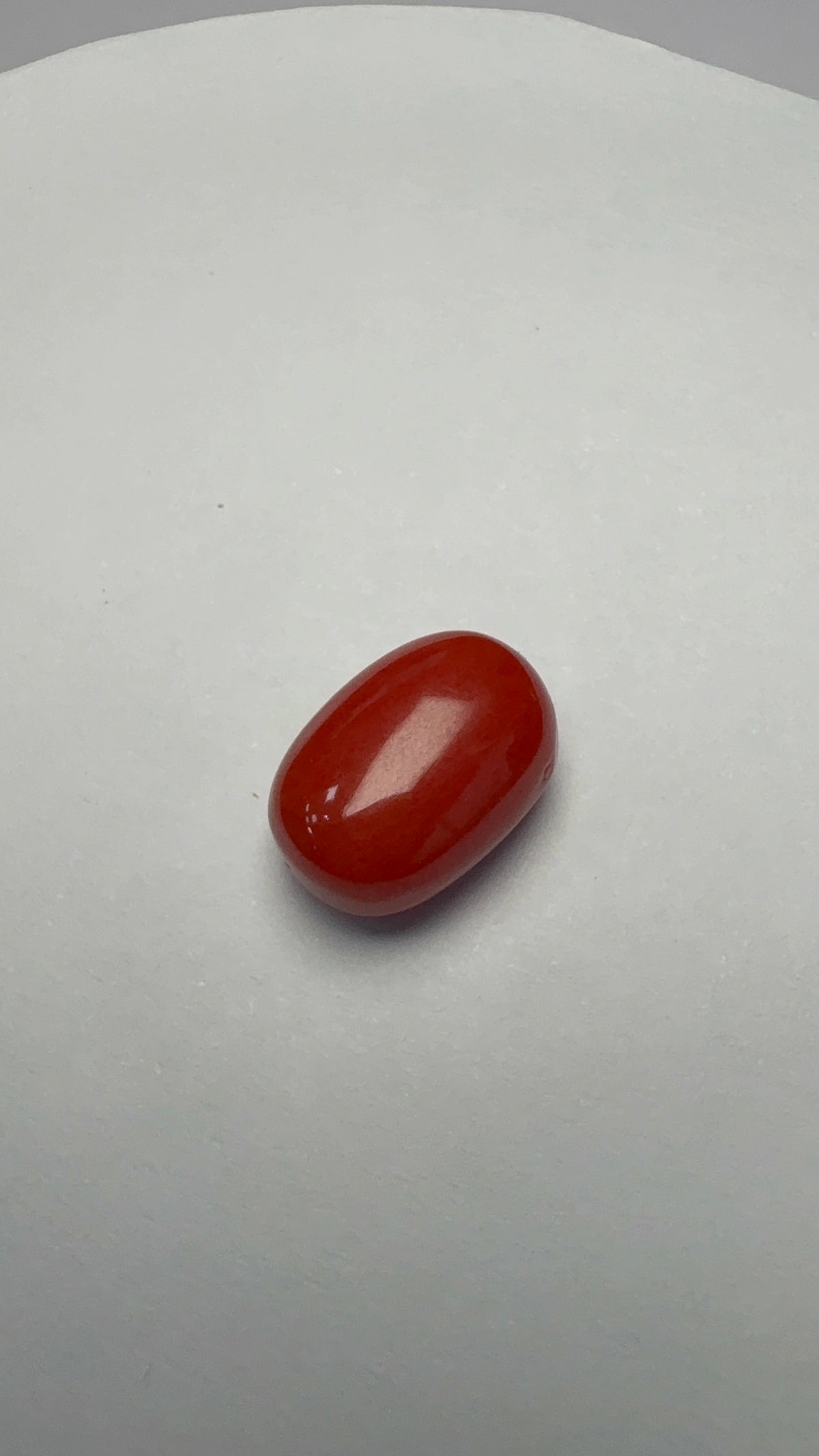 Red Coral 7.31 carat COR-179 front view