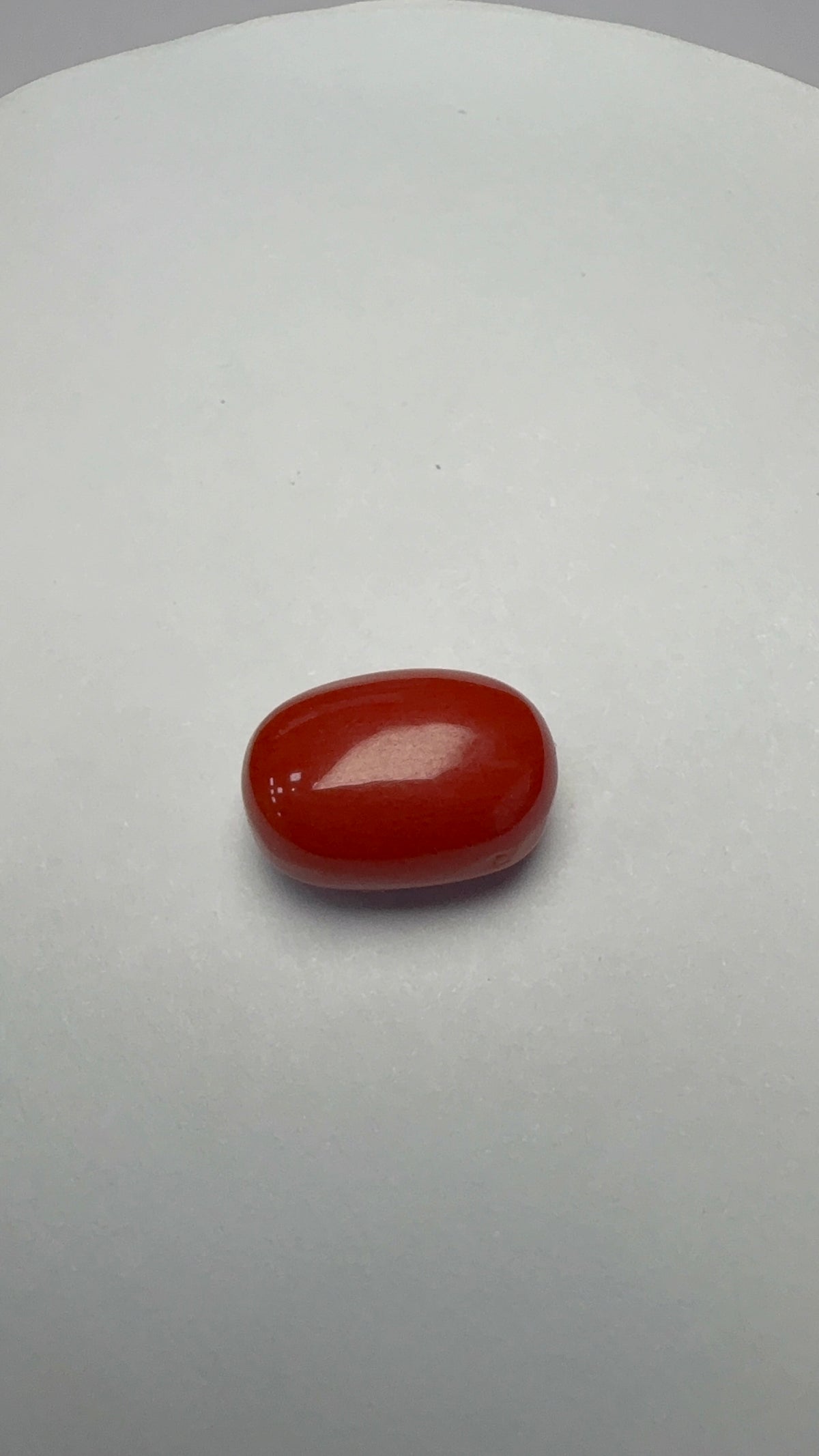 Red Coral 7.31 carat COR-179 face-up view