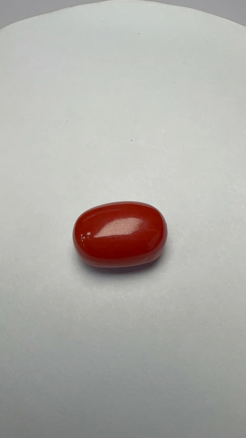 Red Coral – 7.31 Carat – Italy – Oval