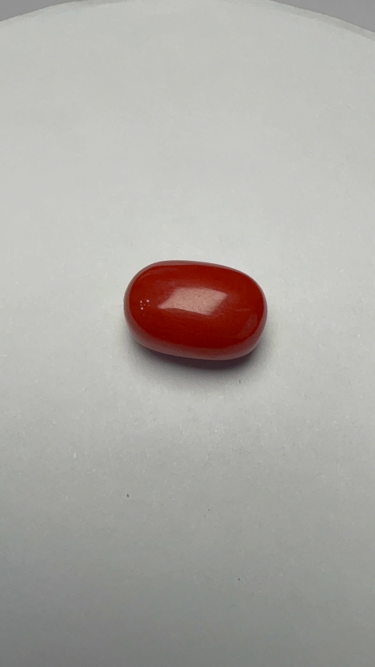 Red Coral 7.31 carat COR-179 close view