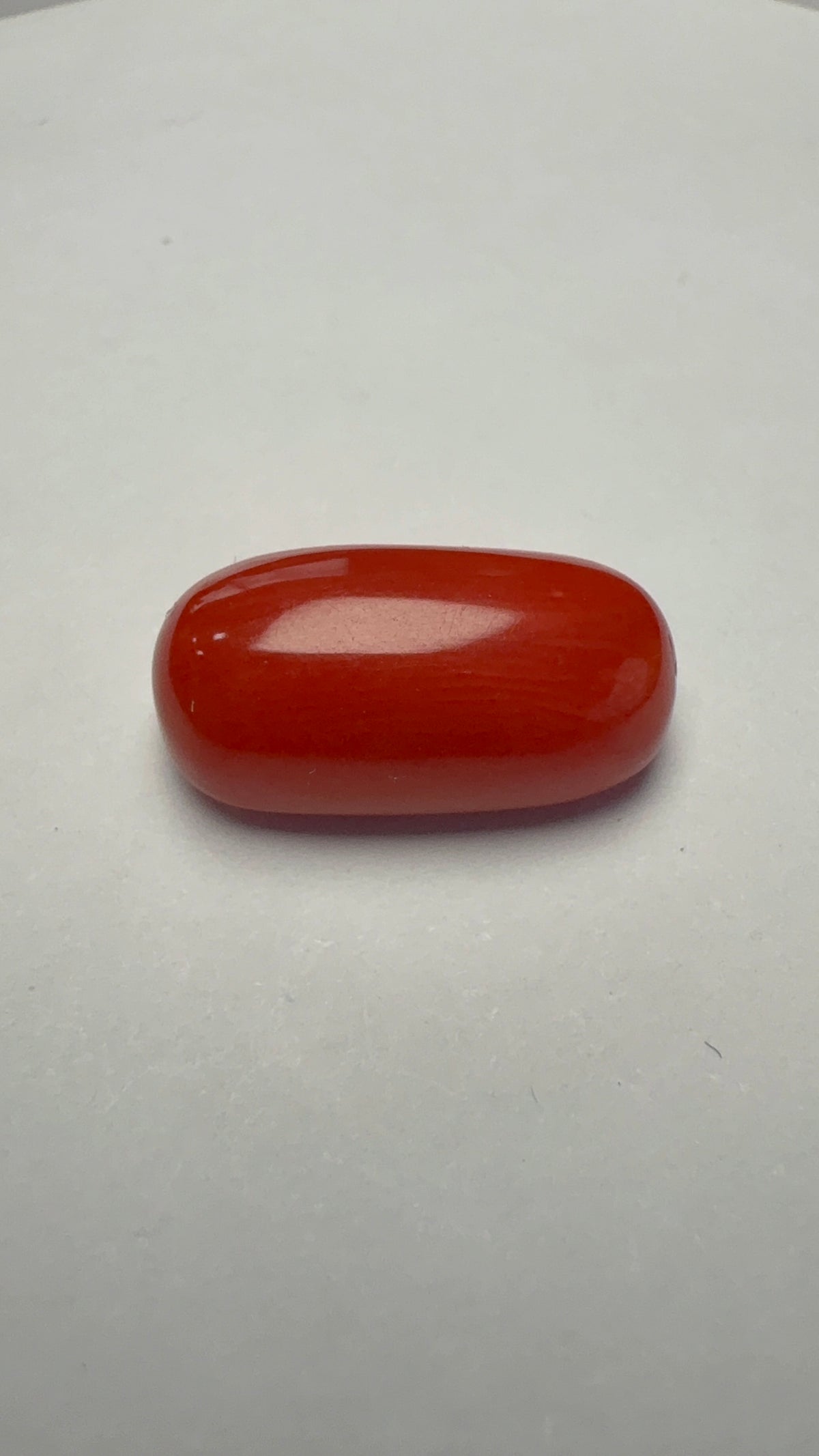 Red Coral 6.13 carat COR-180 face-up view
