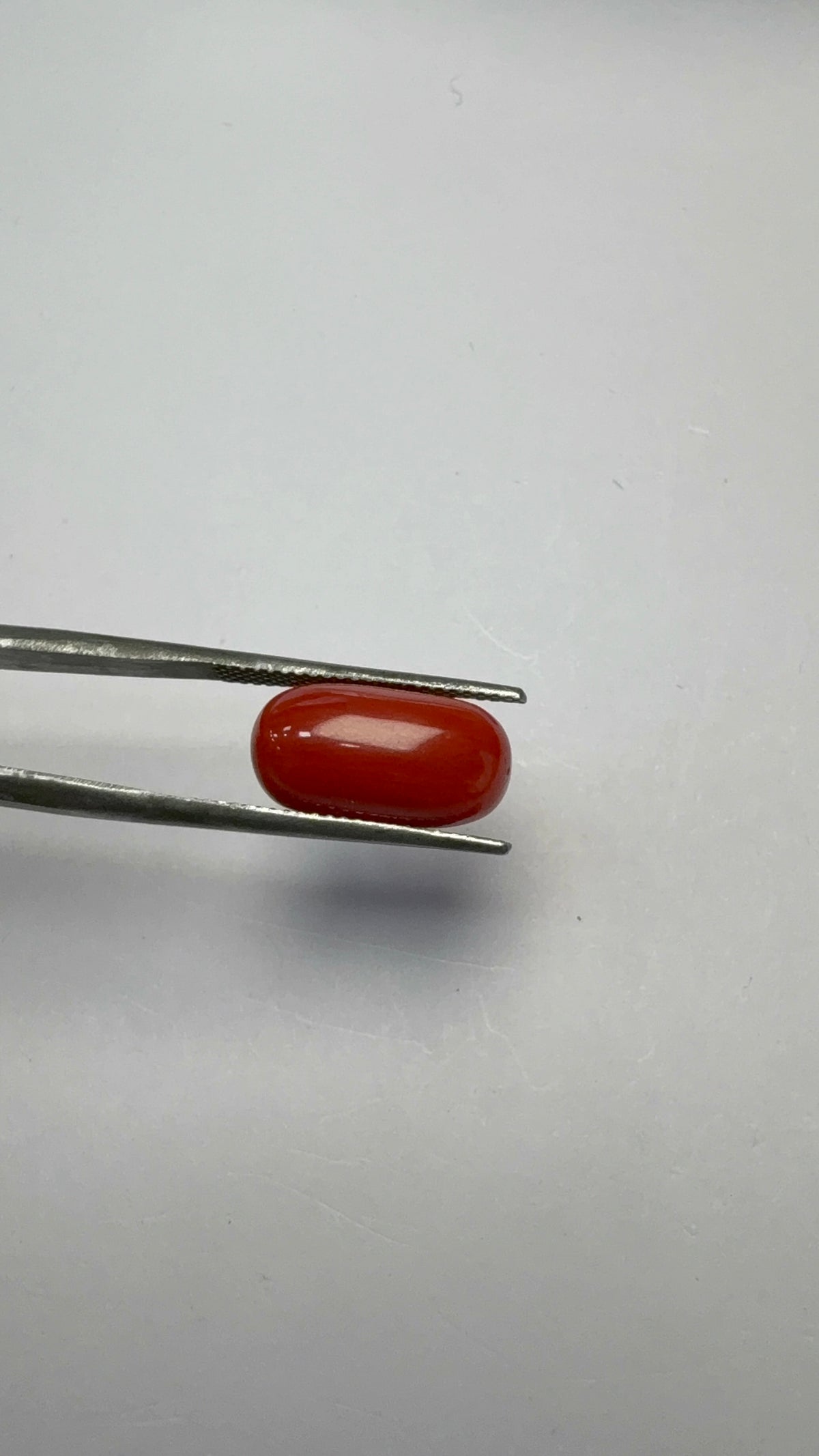 Red Coral 6.13 carat COR-180 close view