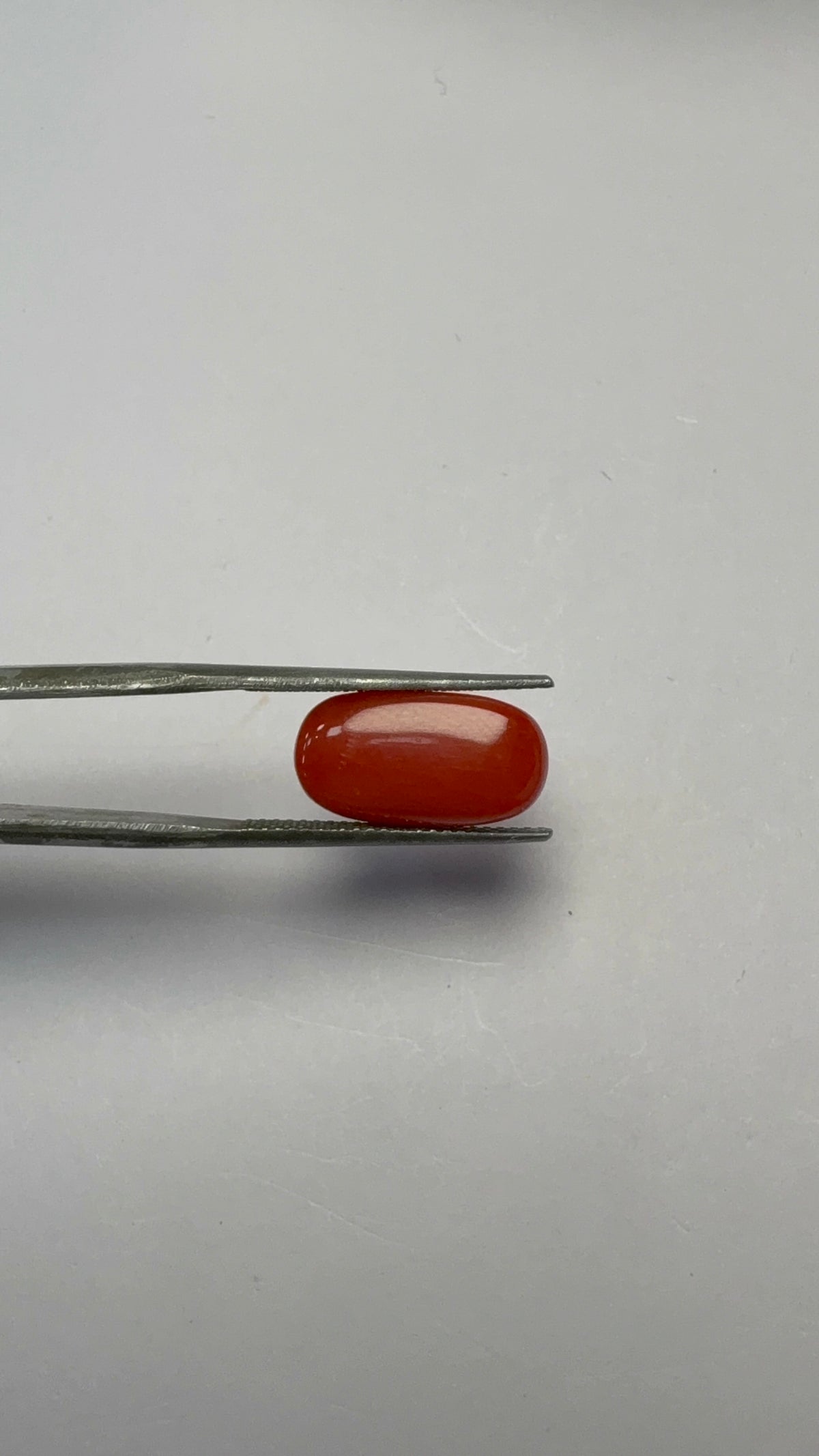 Red Coral 6.13 carat COR-180 angled view
