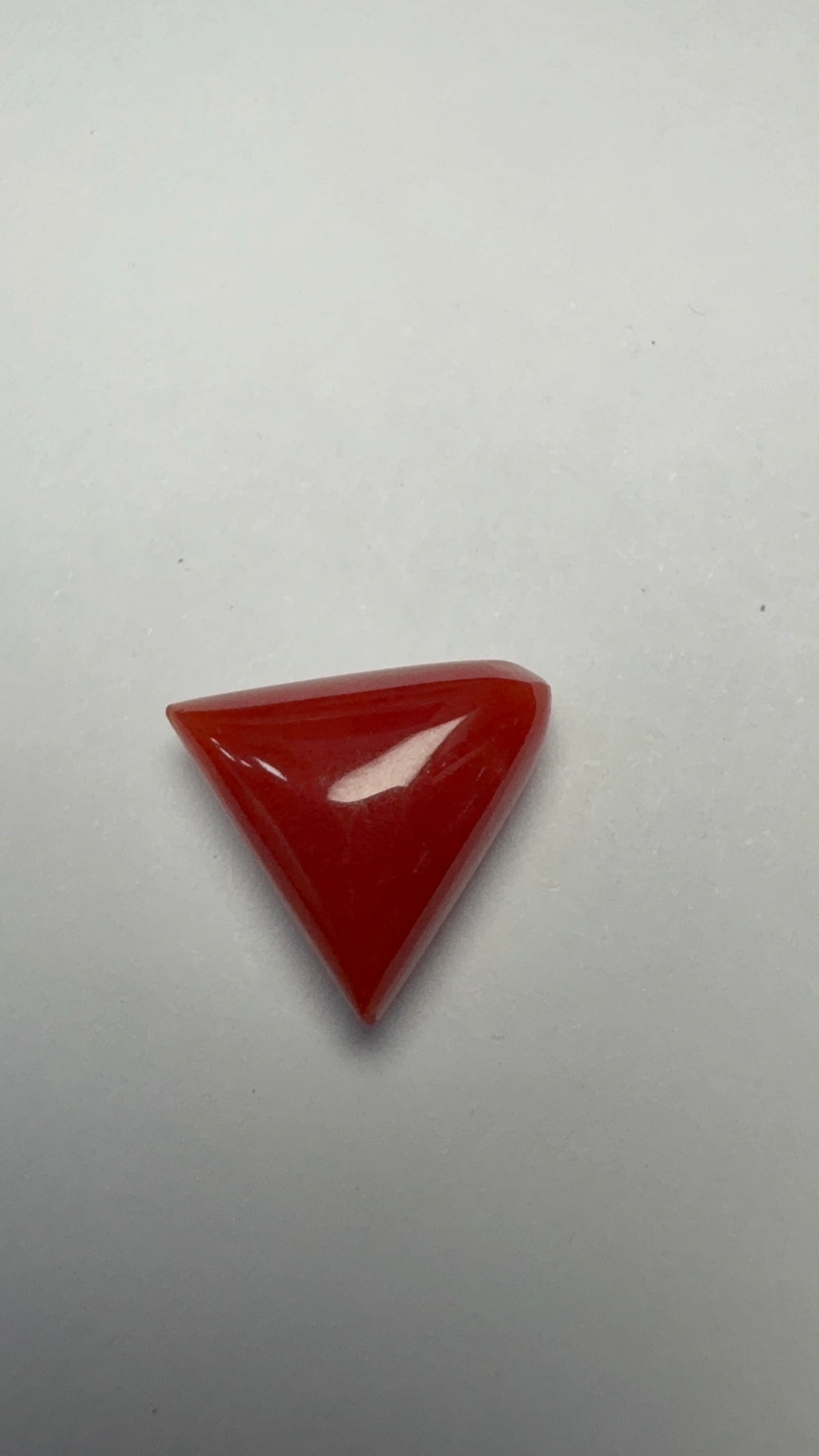 Red Coral 5.40 carat COR-189 face-up view