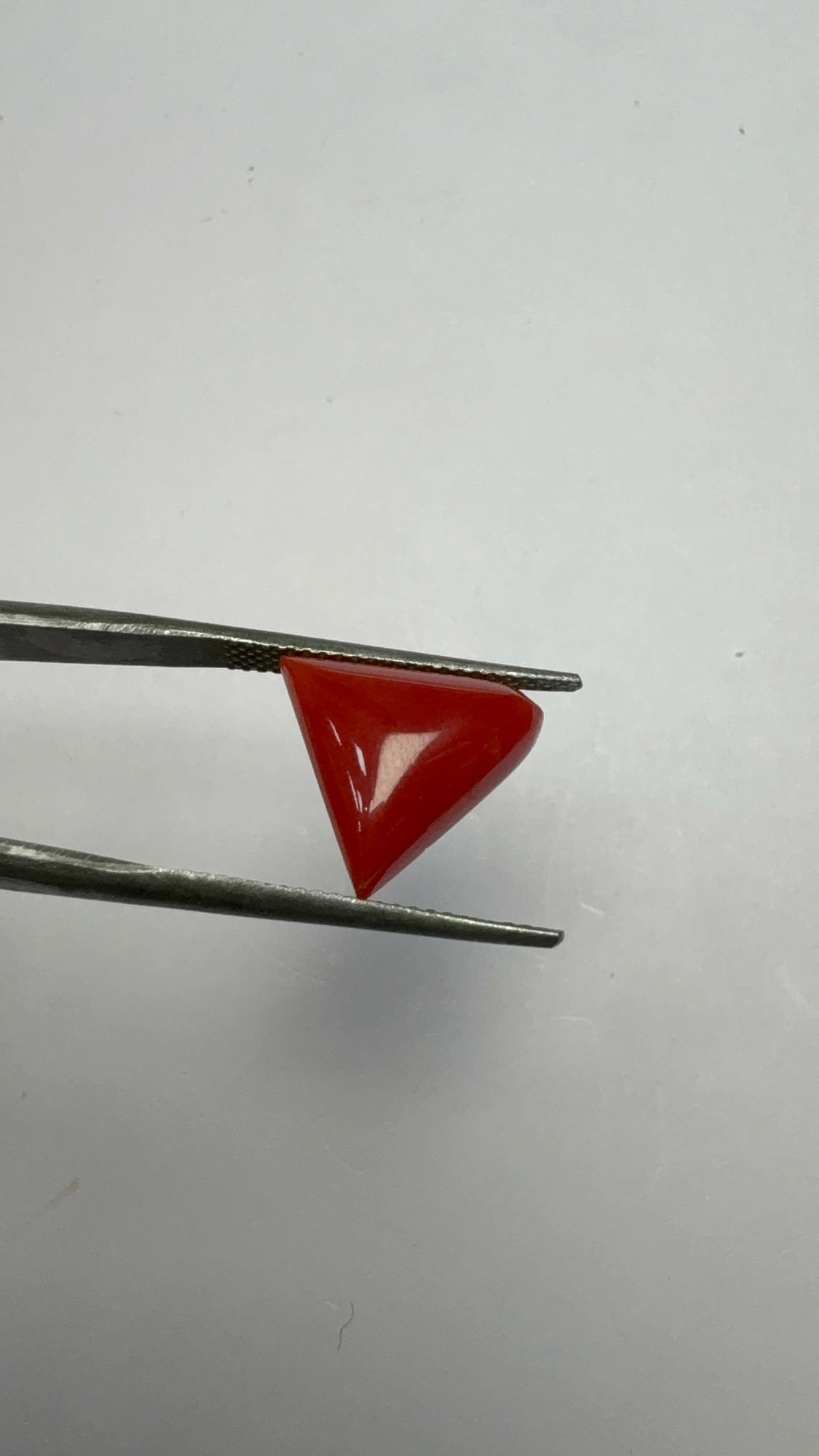 Red Coral 5.40 carat COR-189 angled view