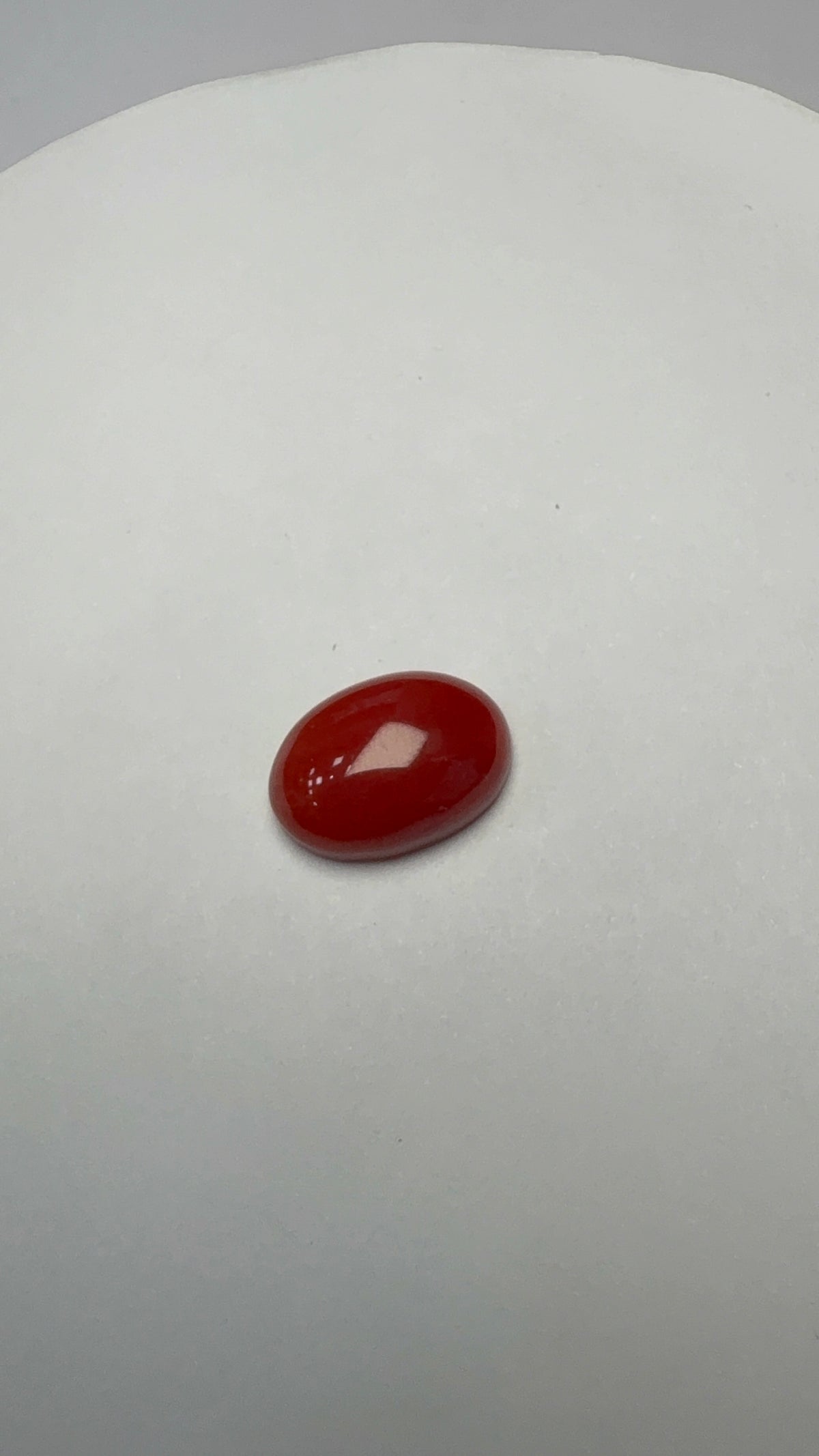 Red Coral 4.47 carat COR-19 front view