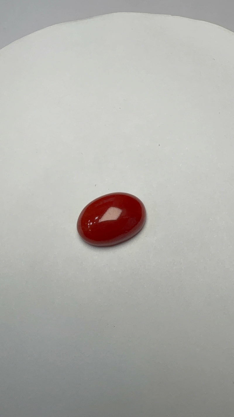 Red Coral – 4.47 Carat – Japan – Oval