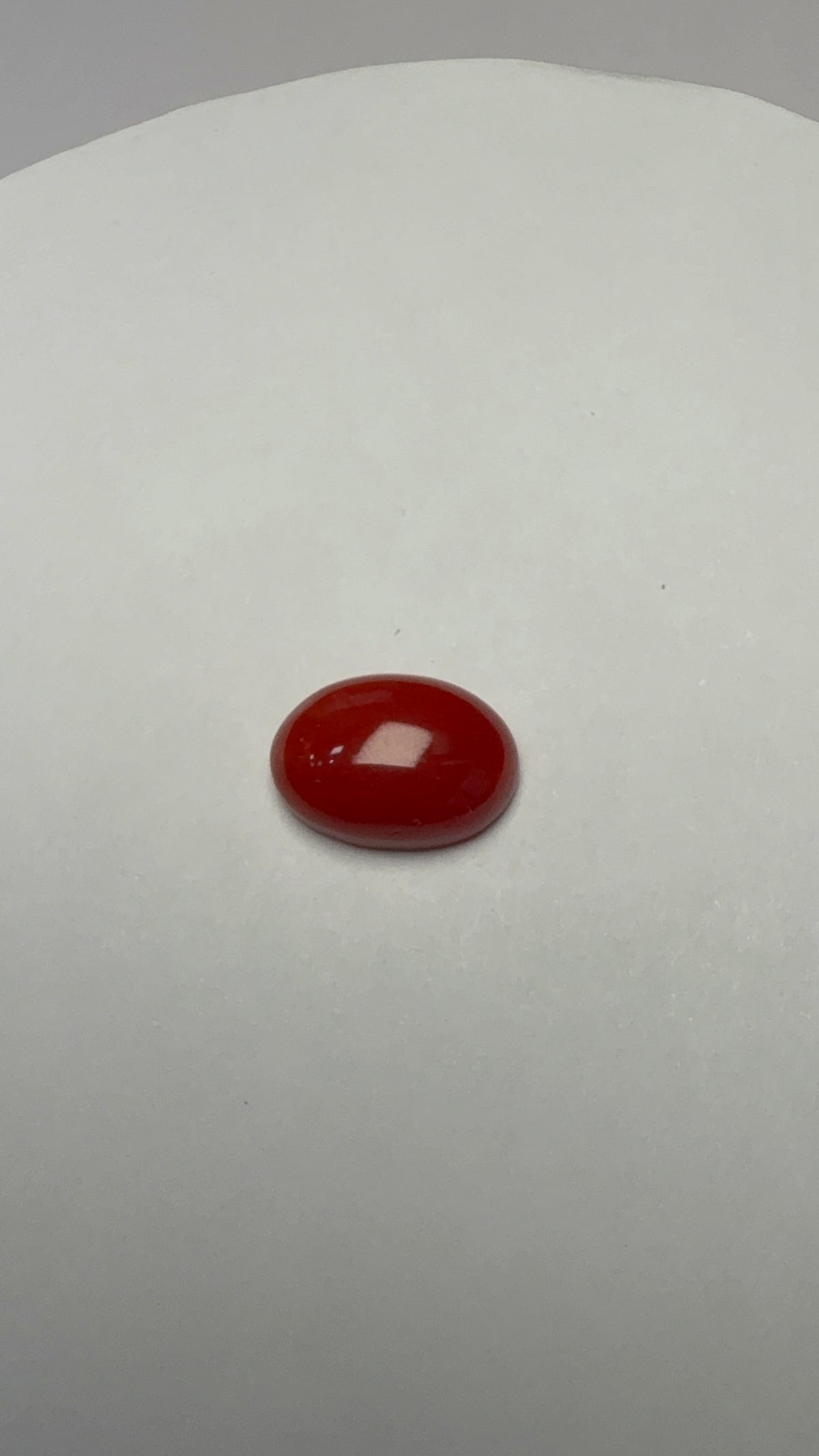 Red Coral 4.47 carat COR-19 face-up view