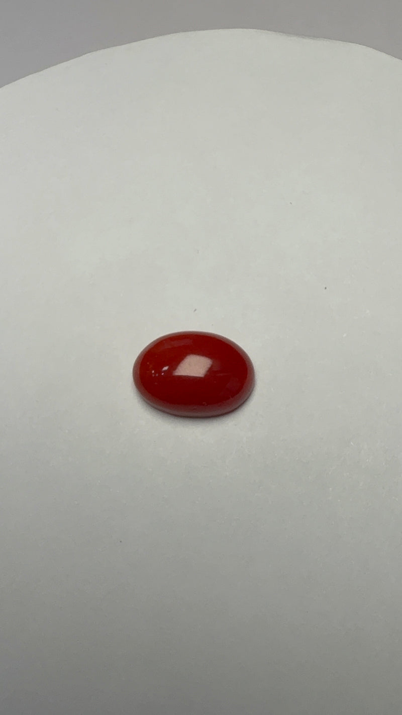Red Coral – 4.47 Carat – Japan – Oval