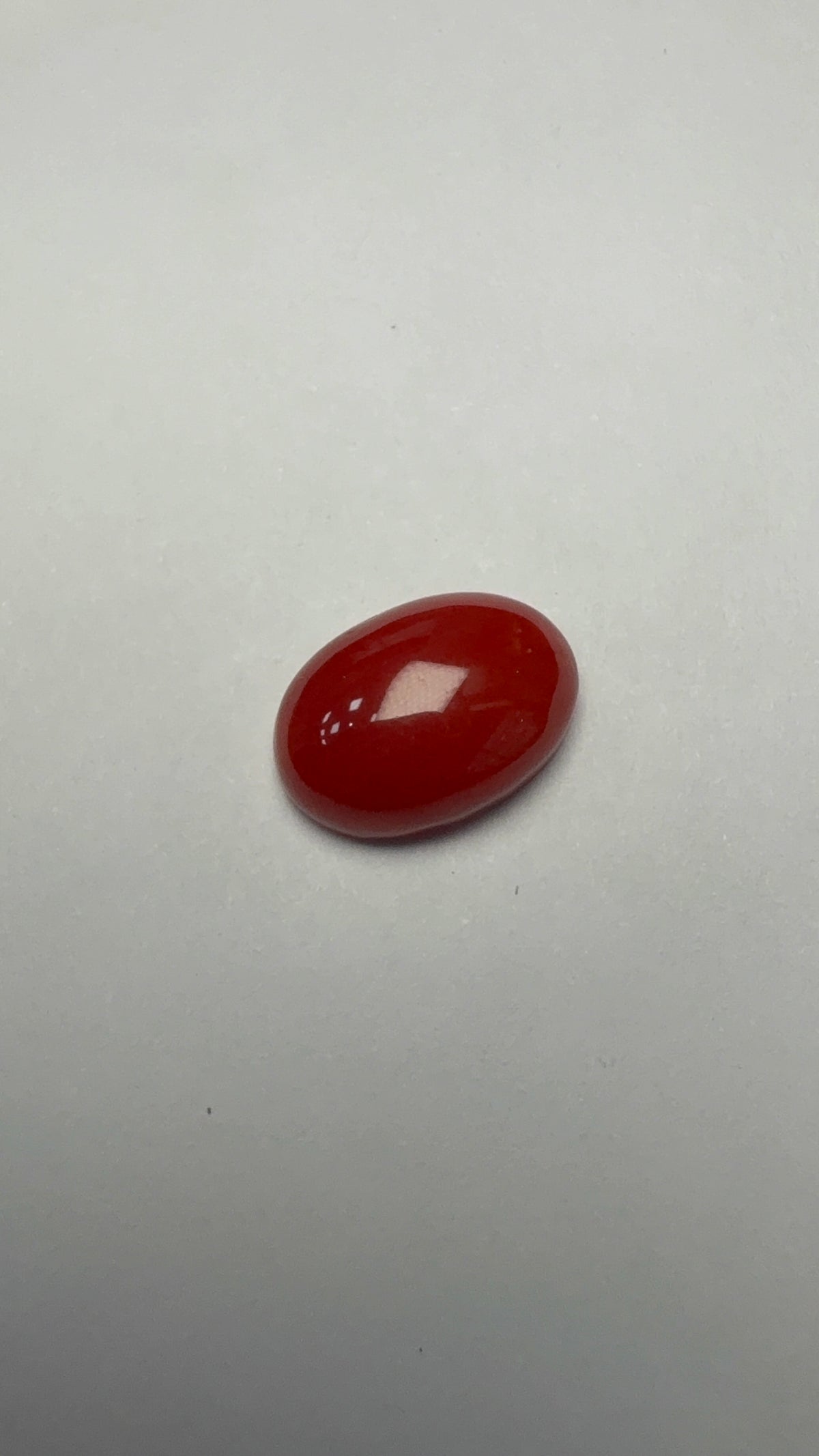 Red Coral 4.47 carat COR-19 close view