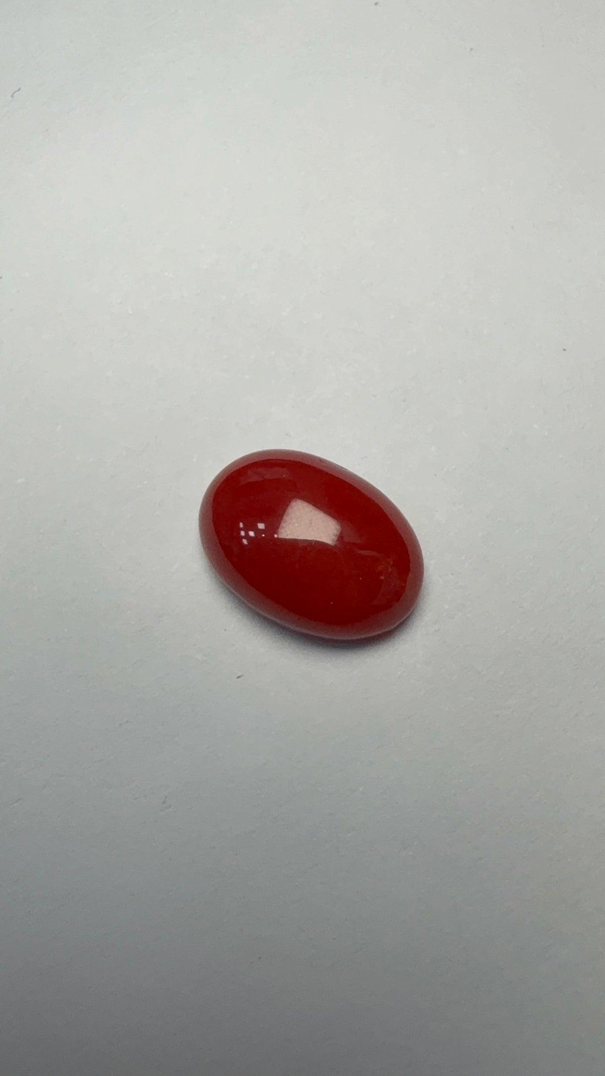Red Coral 4.47 carat COR-19 angled view