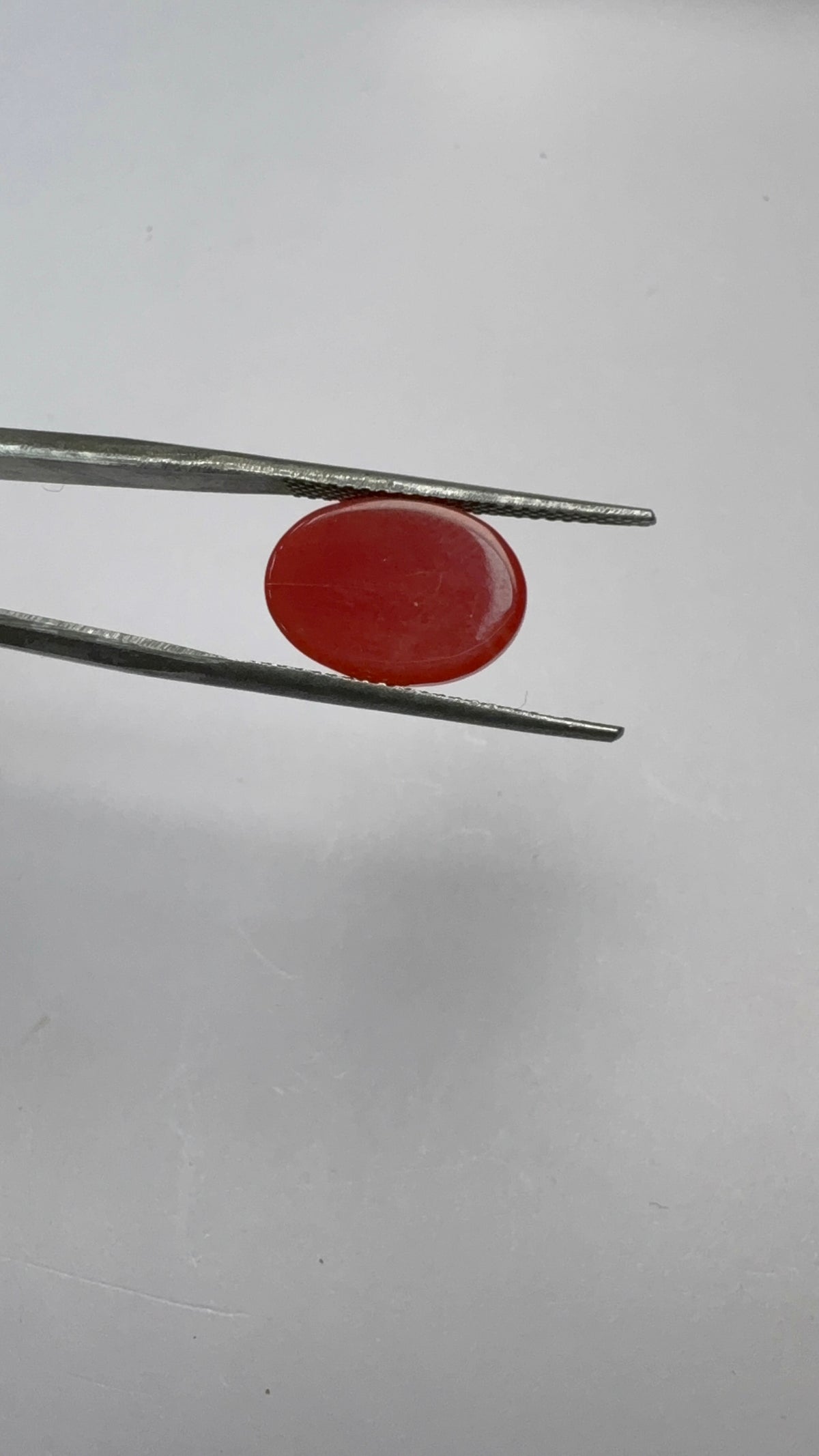 Red Coral 4.47 carat COR-19 side view