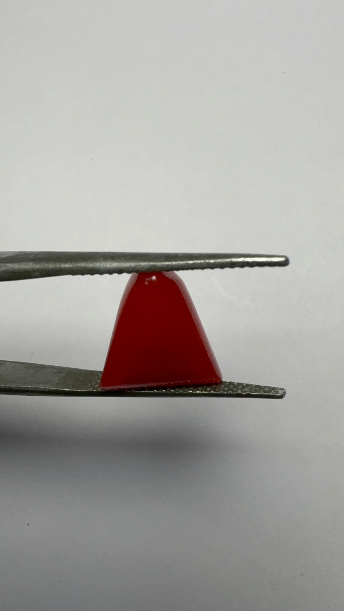 Red Coral 5.21 carat COR-192 angled view